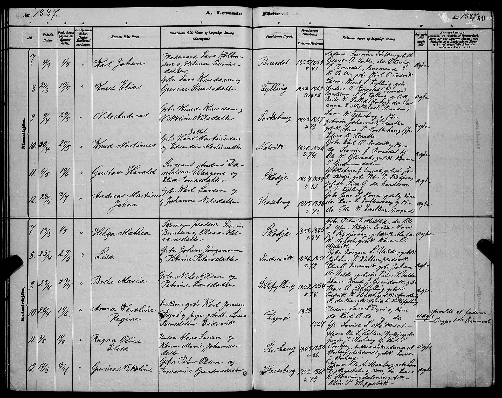 Ministerialprotokoller, klokkerbøker og fødselsregistre - Møre og Romsdal, AV/SAT-A-1454/524/L0365: Parish register (copy) no. 524C06, 1880-1899, p. 40