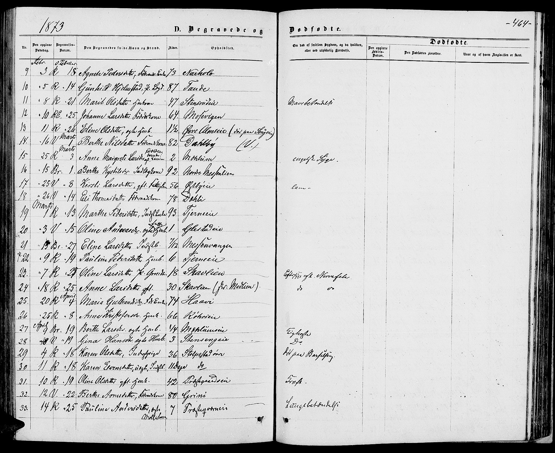 Ringsaker prestekontor, AV/SAH-PREST-014/L/La/L0008: Parish register (copy) no. 8, 1870-1878, p. 464