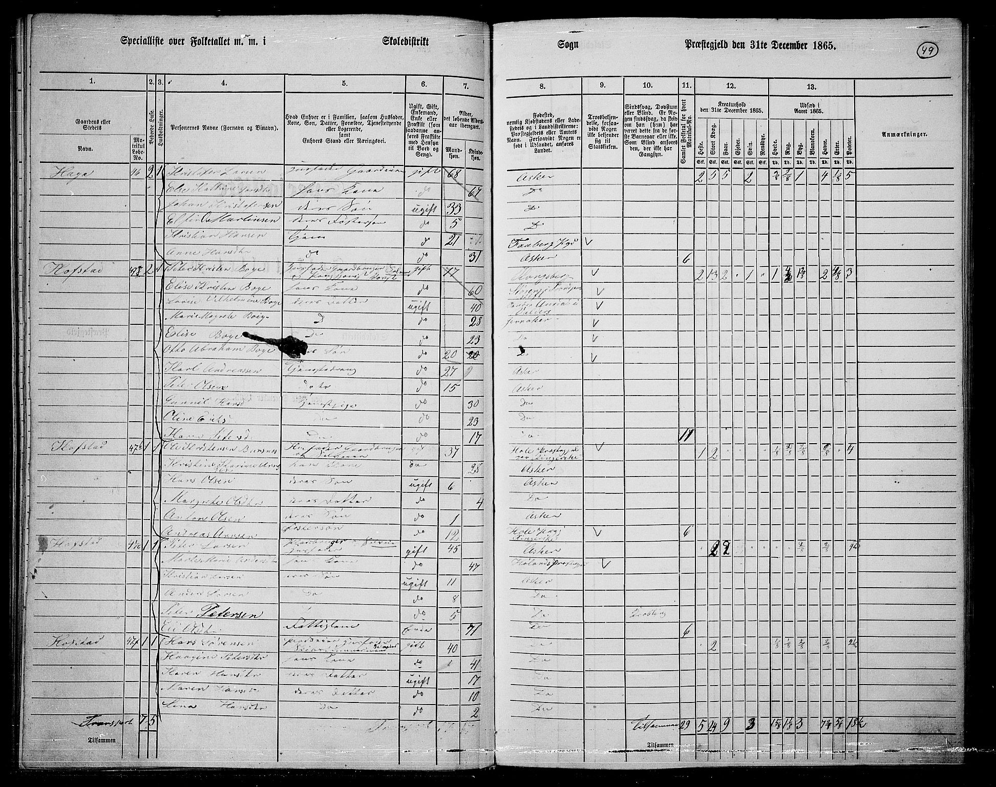 RA, 1865 census for Asker, 1865, p. 48