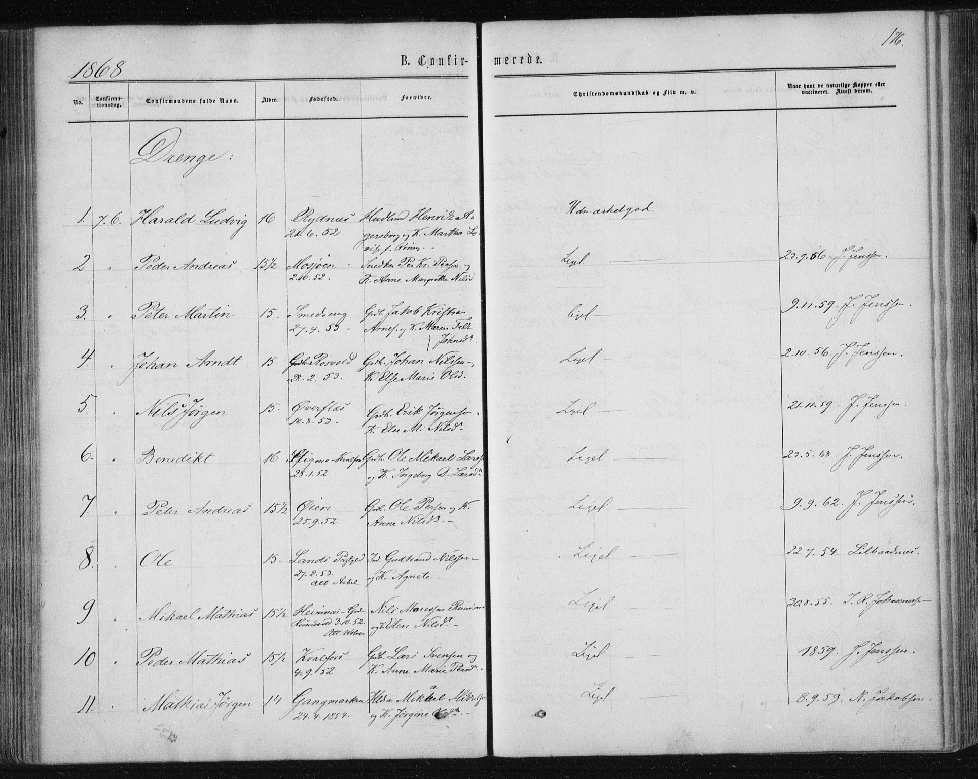 Ministerialprotokoller, klokkerbøker og fødselsregistre - Nordland, SAT/A-1459/820/L0294: Parish register (official) no. 820A15, 1866-1879, p. 176