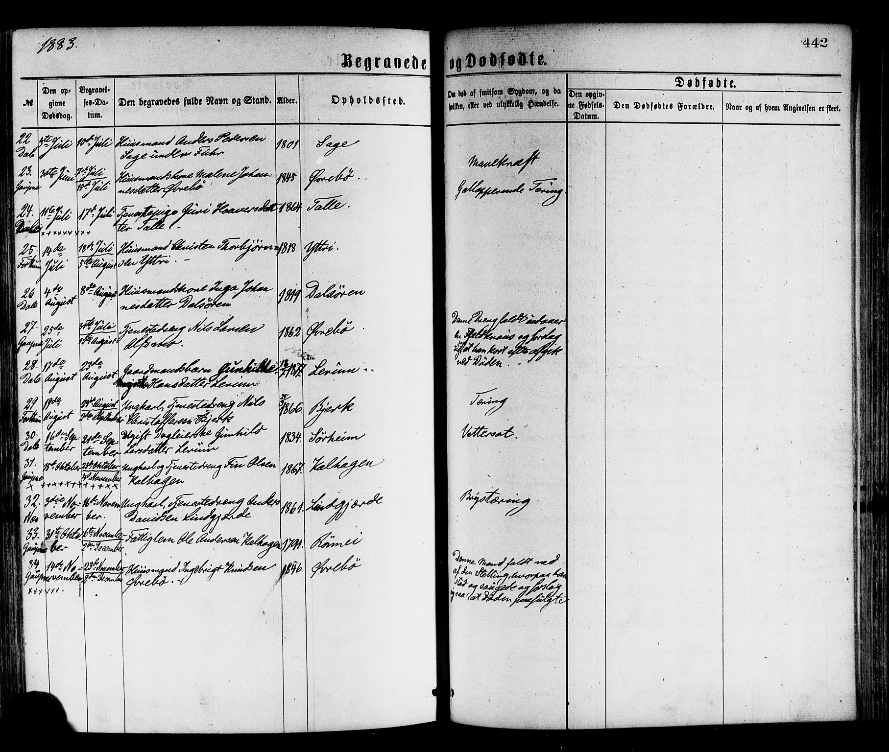 Luster sokneprestembete, AV/SAB-A-81101/H/Haa/Haaa/L0010: Parish register (official) no. A 10, 1871-1886, p. 442