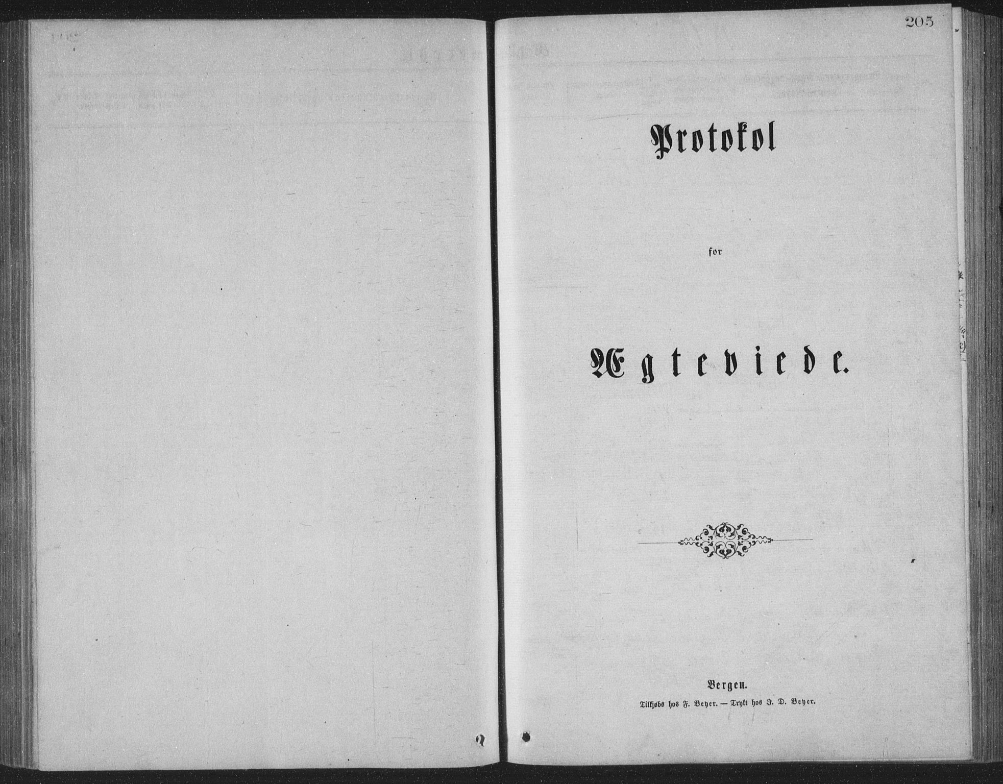 Ministerialprotokoller, klokkerbøker og fødselsregistre - Nordland, SAT/A-1459/886/L1225: Parish register (copy) no. 886C02, 1874-1896, p. 205