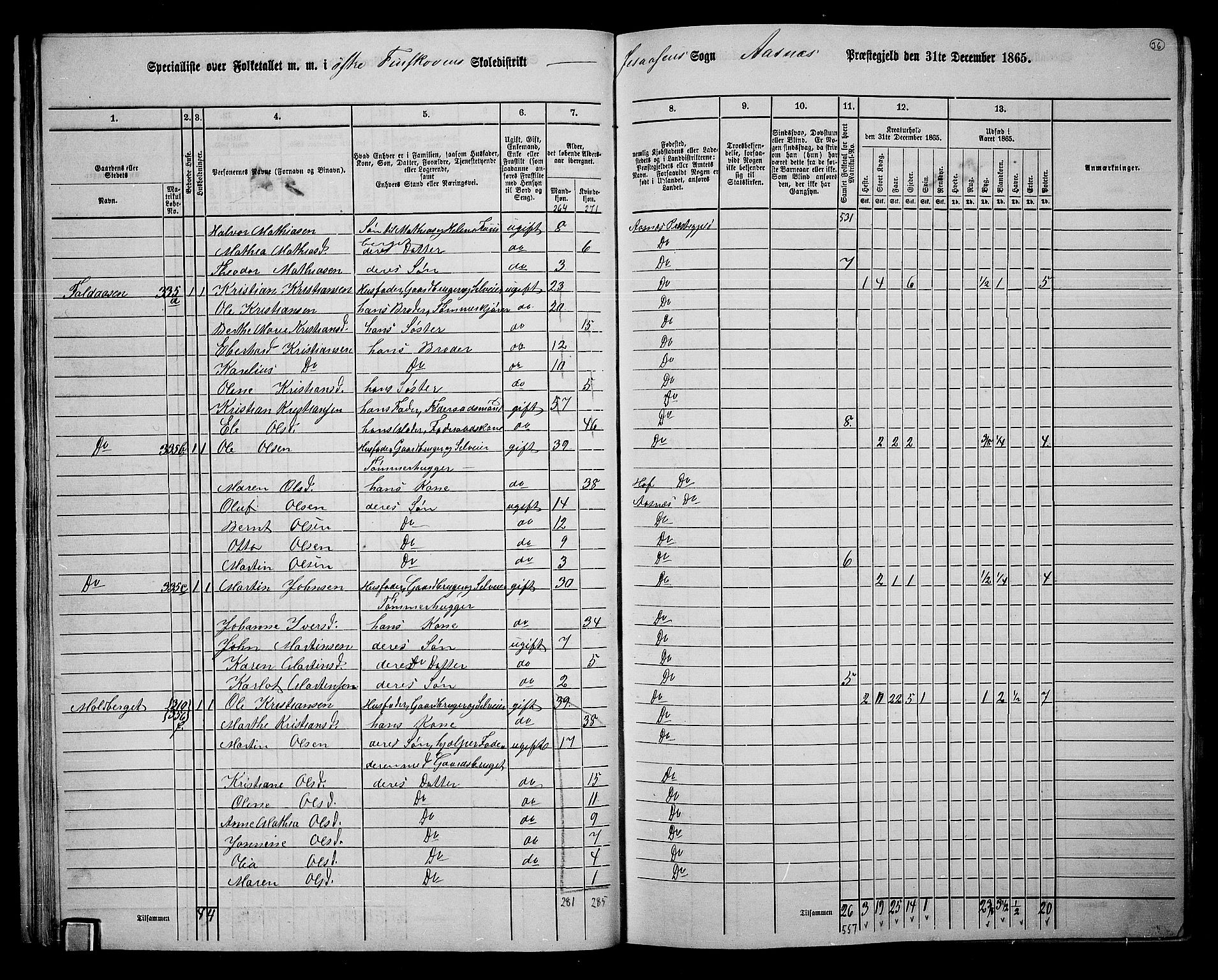 RA, 1865 census for Åsnes, 1865, p. 33