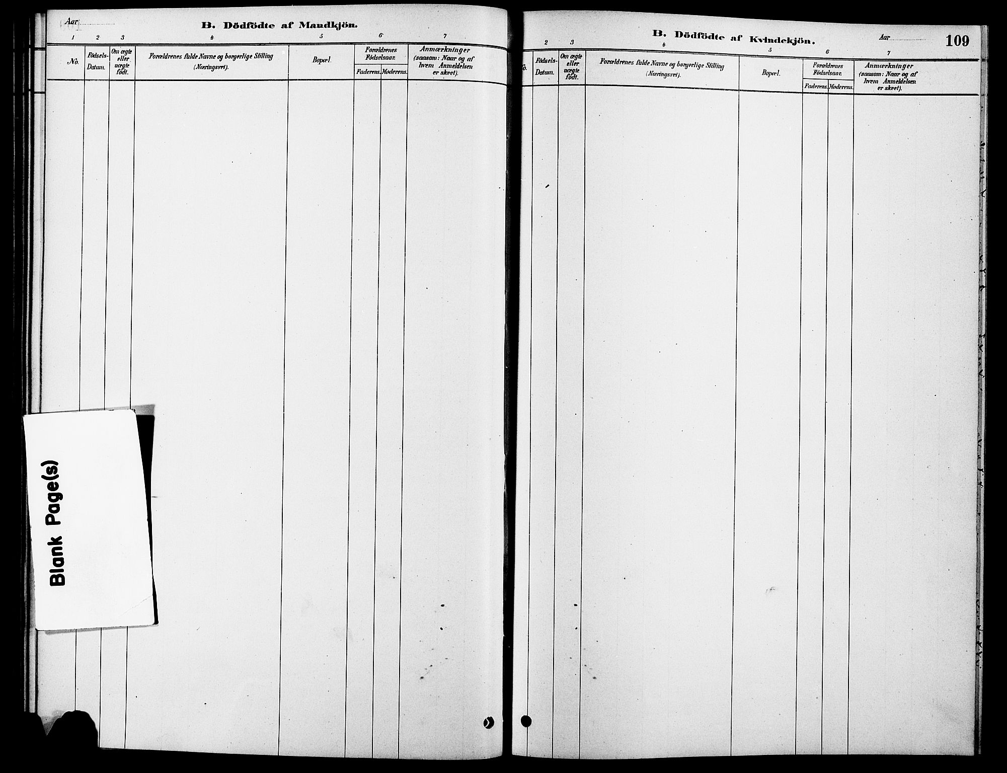 Rendalen prestekontor, SAH/PREST-054/H/Ha/Hab/L0003: Parish register (copy) no. 3, 1879-1904, p. 109
