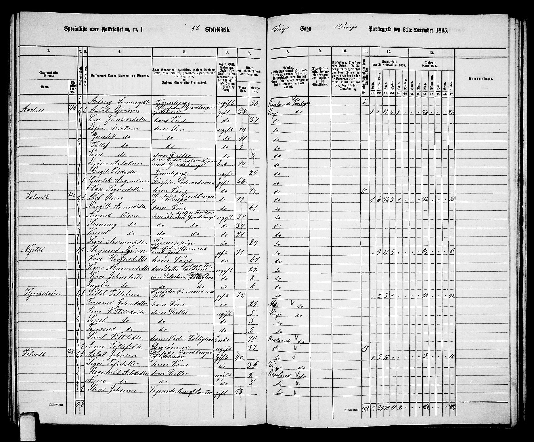 RA, 1865 census for Vinje, 1865, p. 49