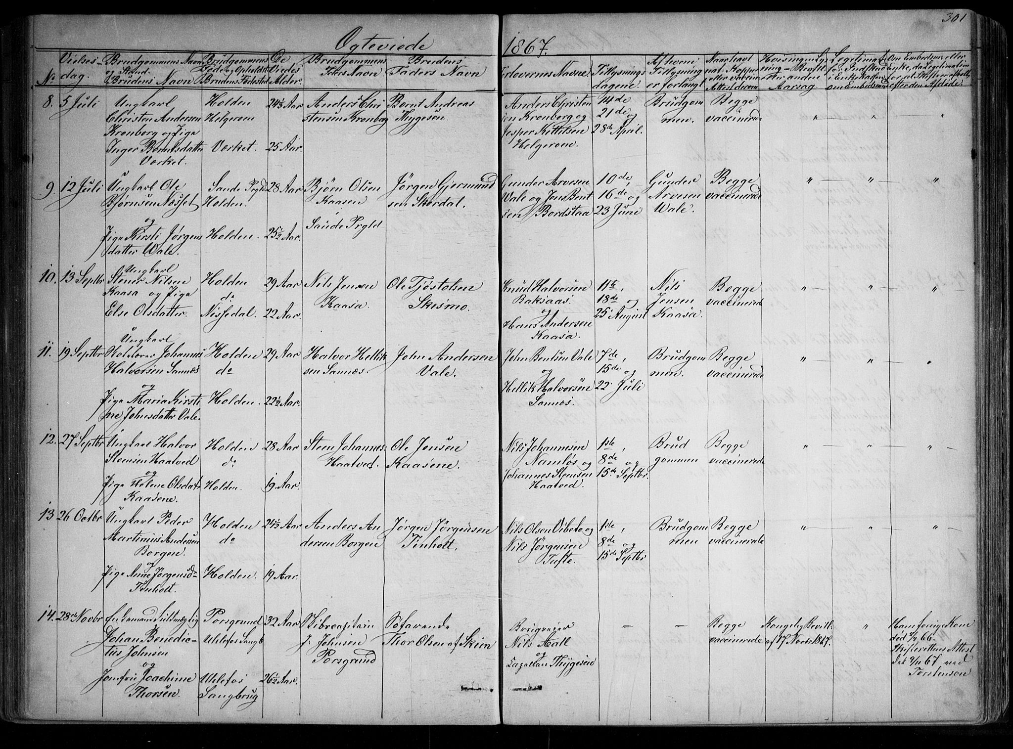 Holla kirkebøker, AV/SAKO-A-272/G/Ga/L0004: Parish register (copy) no. I 4, 1867-1890, p. 301