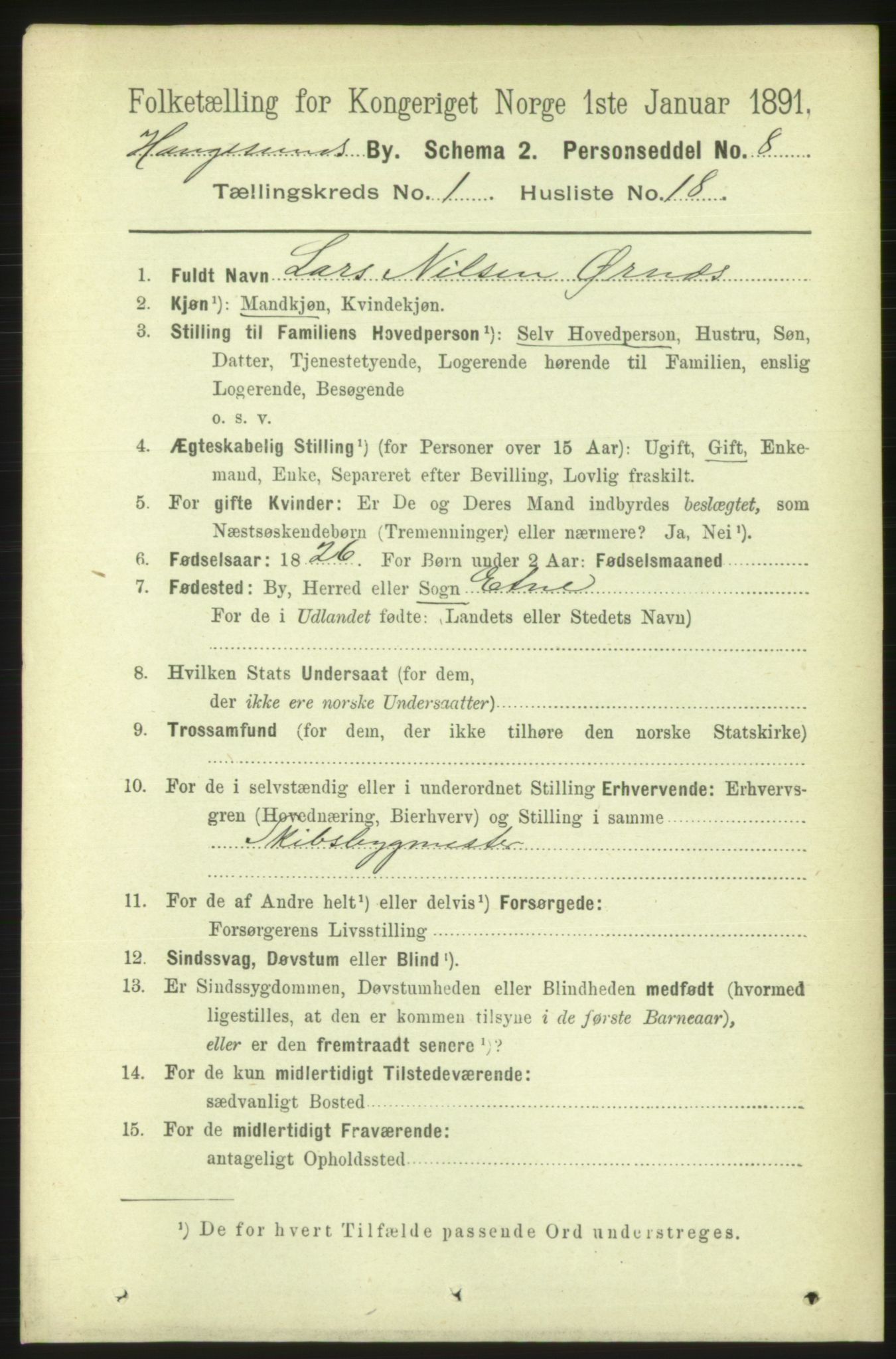 RA, 1891 census for 1106 Haugesund, 1891, p. 1017