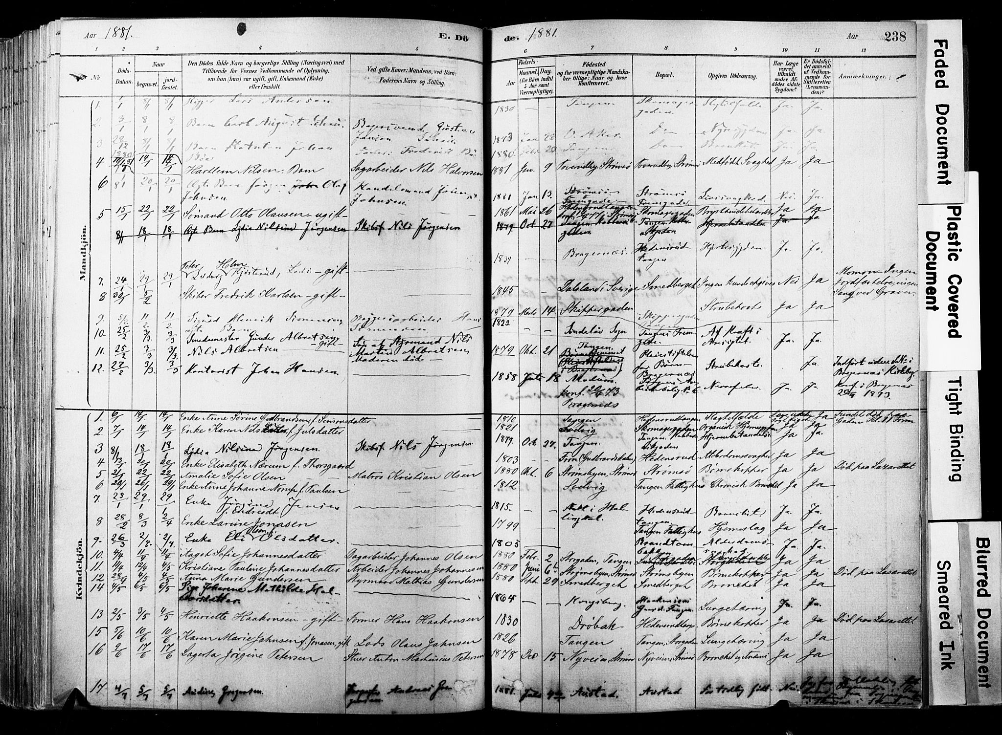 Strømsø kirkebøker, SAKO/A-246/F/Fb/L0006: Parish register (official) no. II 6, 1879-1910, p. 238