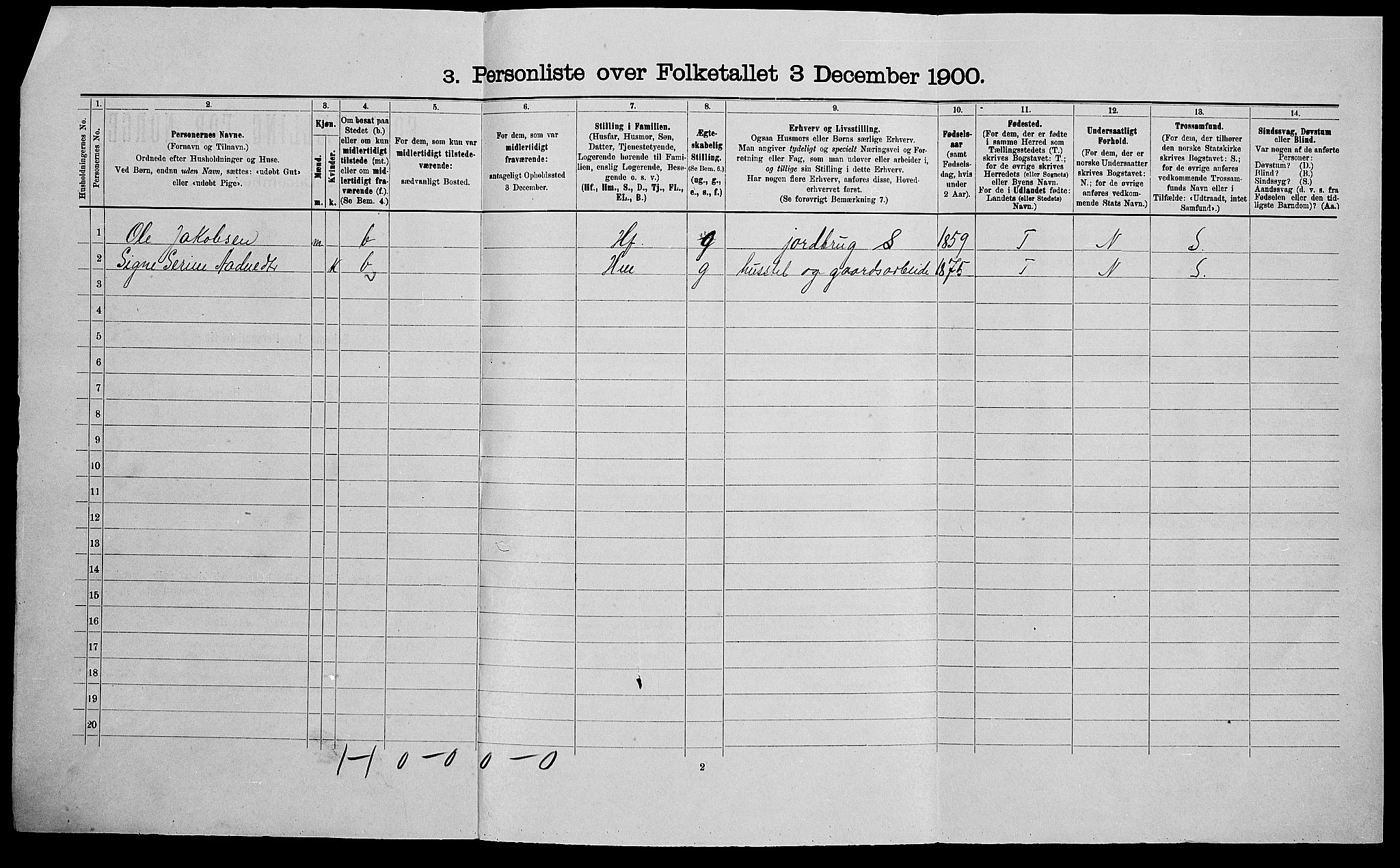 SAK, 1900 census for Nes, 1900, p. 22