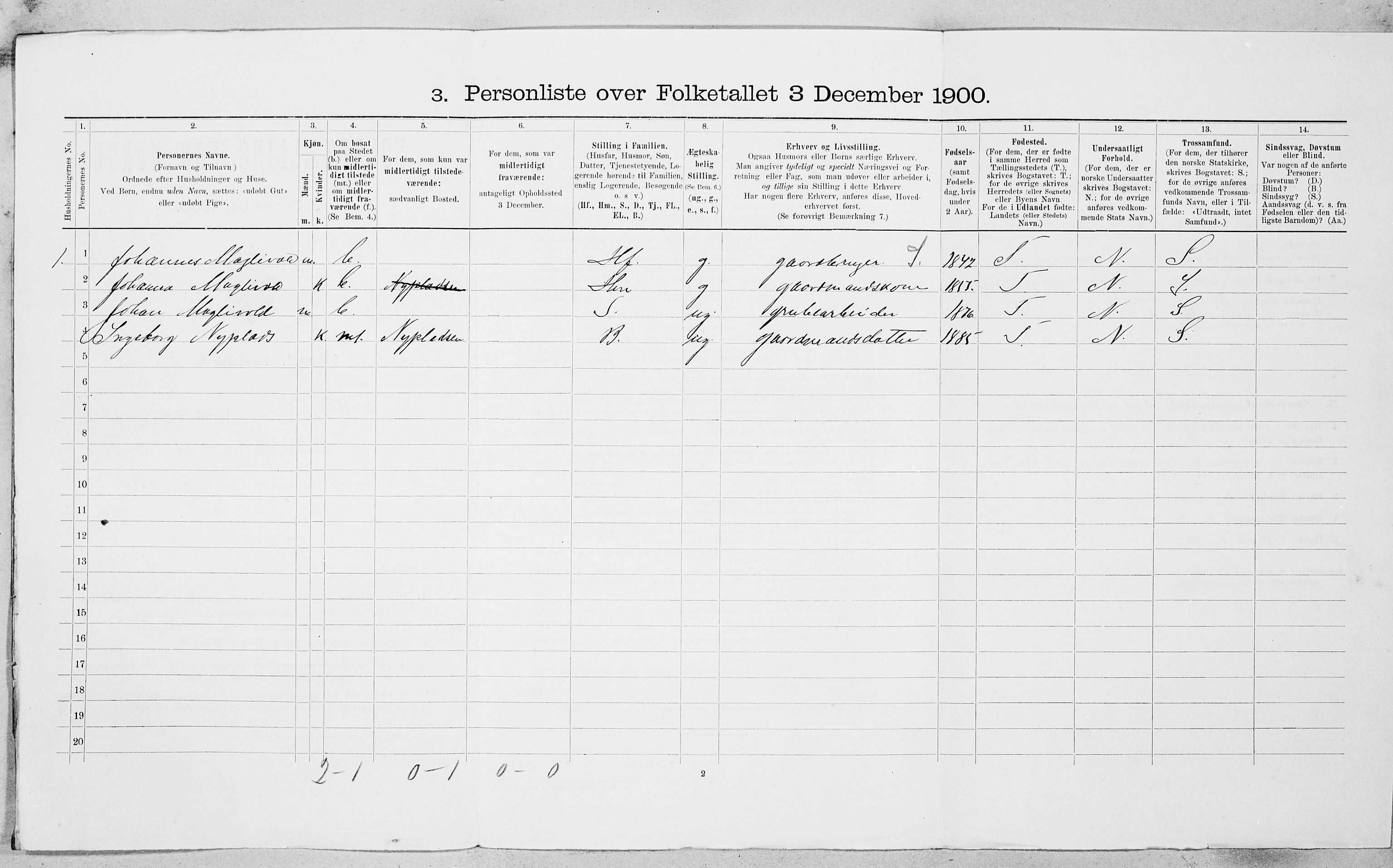 SAT, 1900 census for Røros, 1900, p. 1017