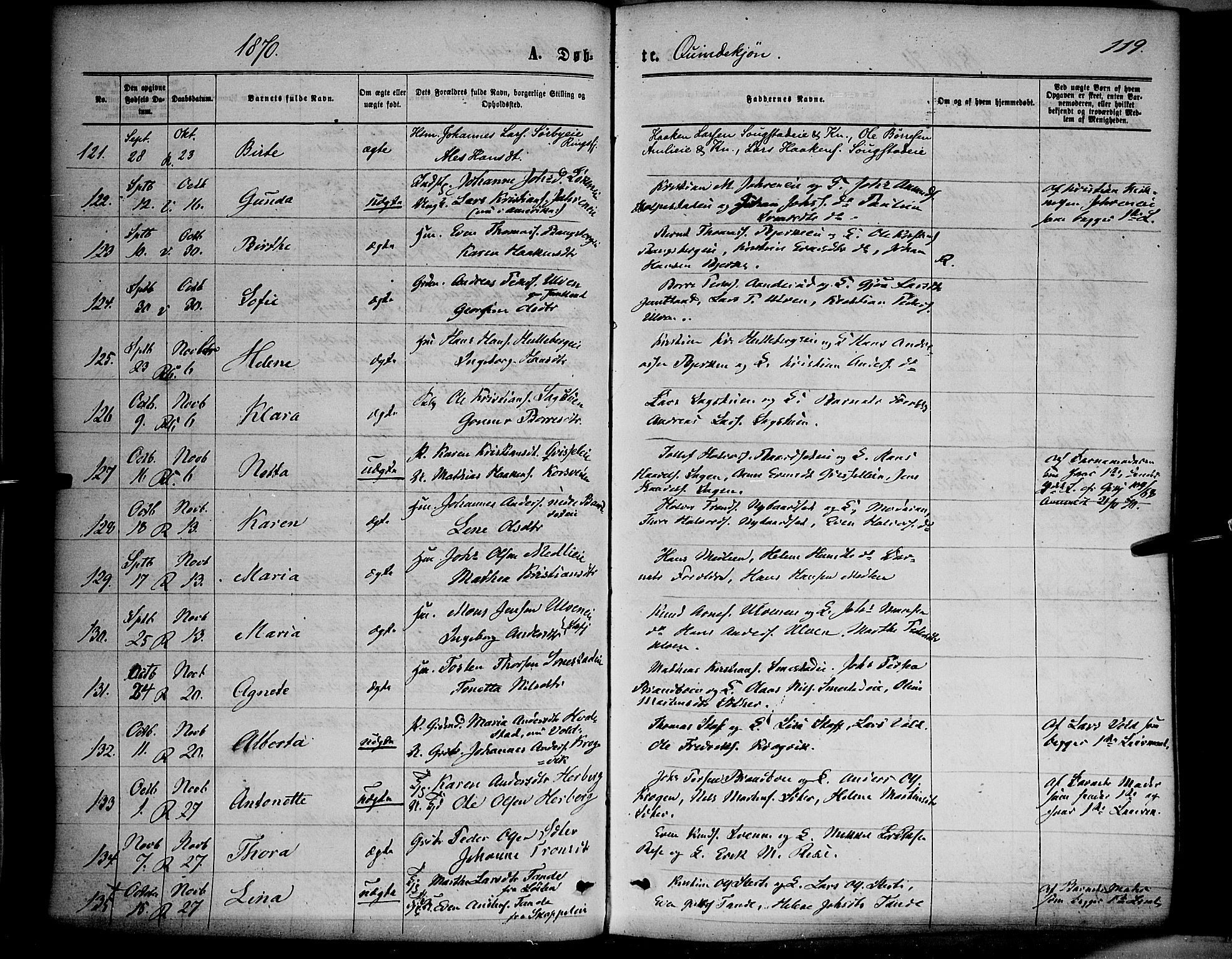 Ringsaker prestekontor, AV/SAH-PREST-014/K/Ka/L0011: Parish register (official) no. 11, 1870-1878, p. 119