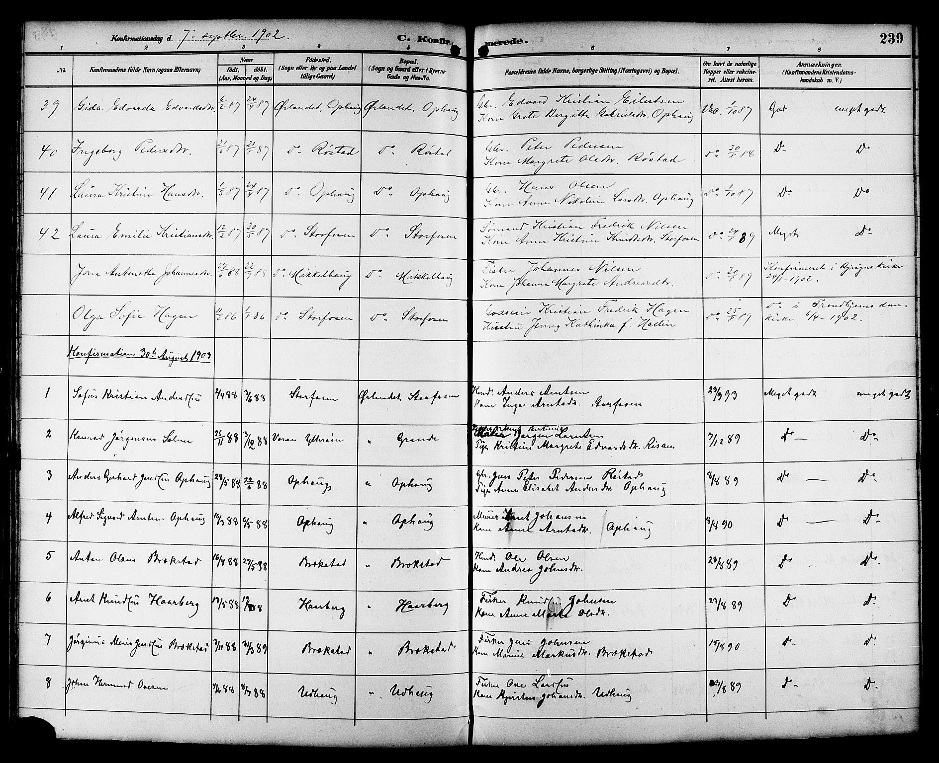 Ministerialprotokoller, klokkerbøker og fødselsregistre - Sør-Trøndelag, AV/SAT-A-1456/659/L0746: Parish register (copy) no. 659C03, 1893-1912, p. 239