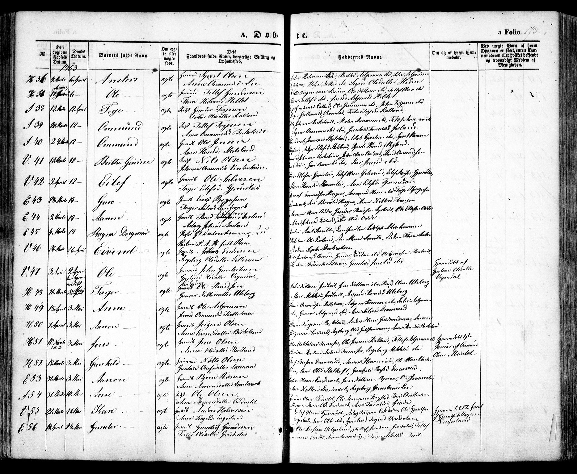 Evje sokneprestkontor, AV/SAK-1111-0008/F/Fa/Faa/L0005: Parish register (official) no. A 5, 1843-1865, p. 173