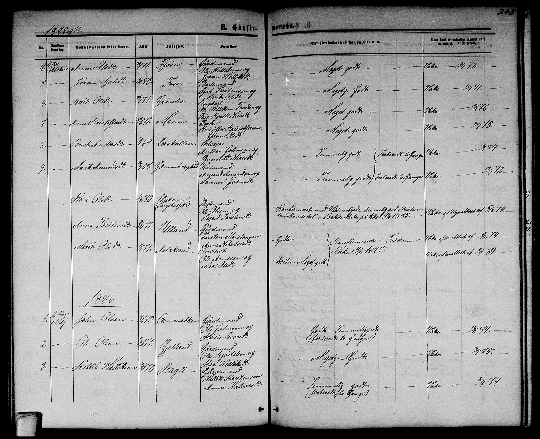 Flesberg kirkebøker, SAKO/A-18/G/Ga/L0003: Parish register (copy) no. I 3, 1861-1889, p. 245
