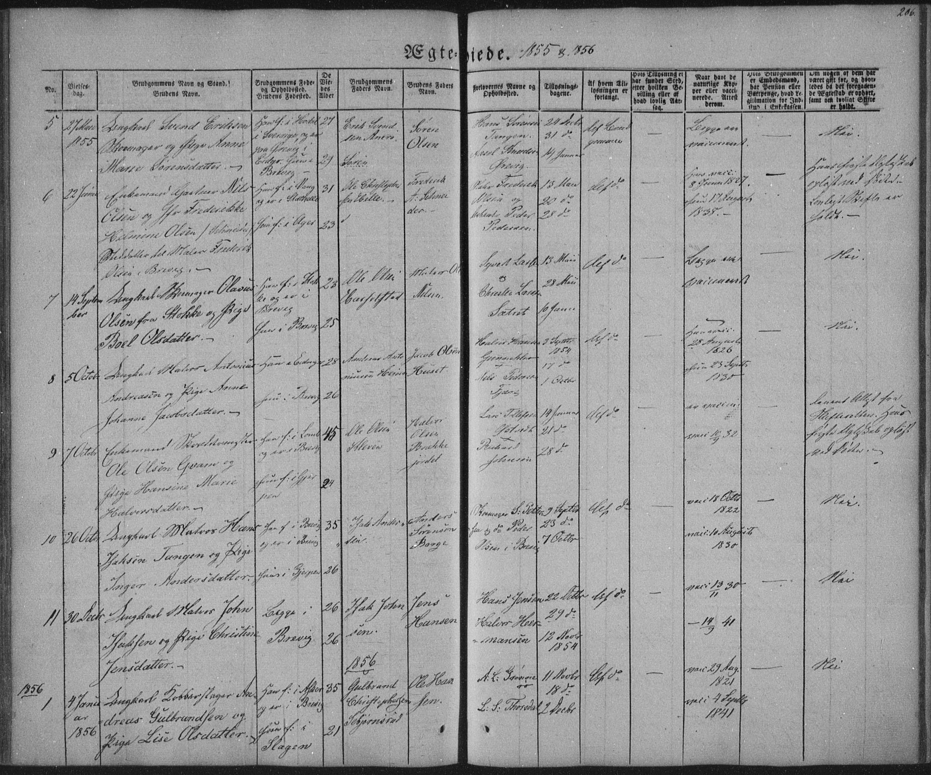 Brevik kirkebøker, SAKO/A-255/F/Fa/L0005: Parish register (official) no. 5, 1847-1865, p. 206