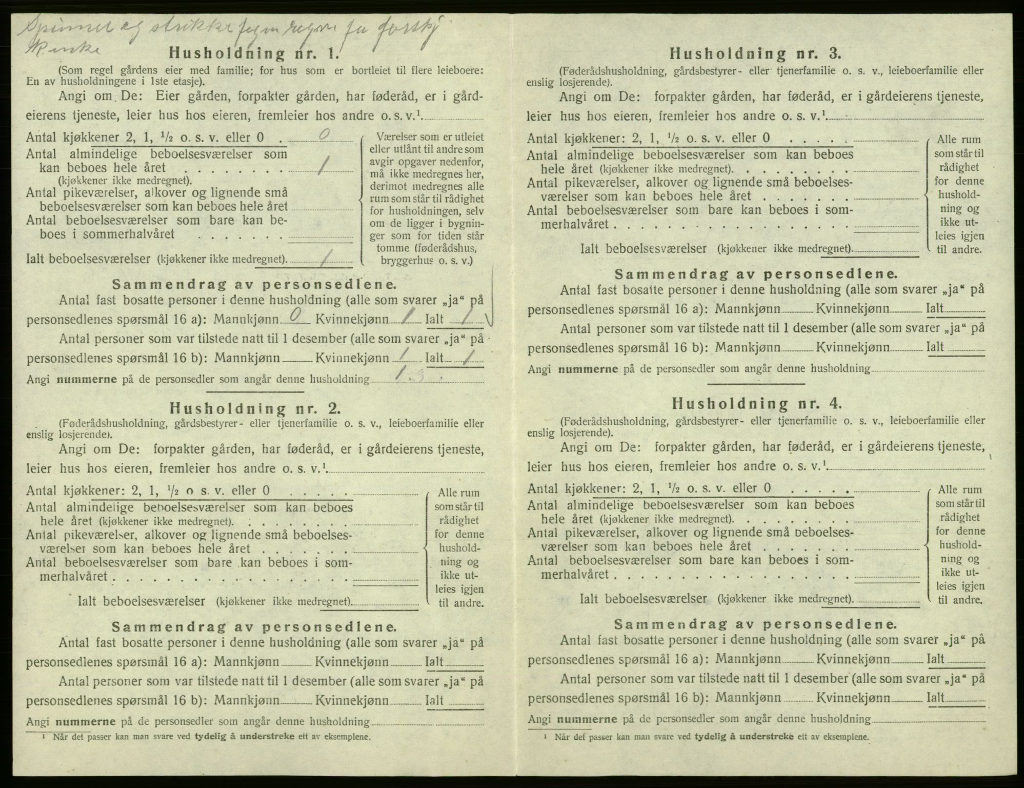 SAB, 1920 census for Hålandsdal, 1920, p. 205