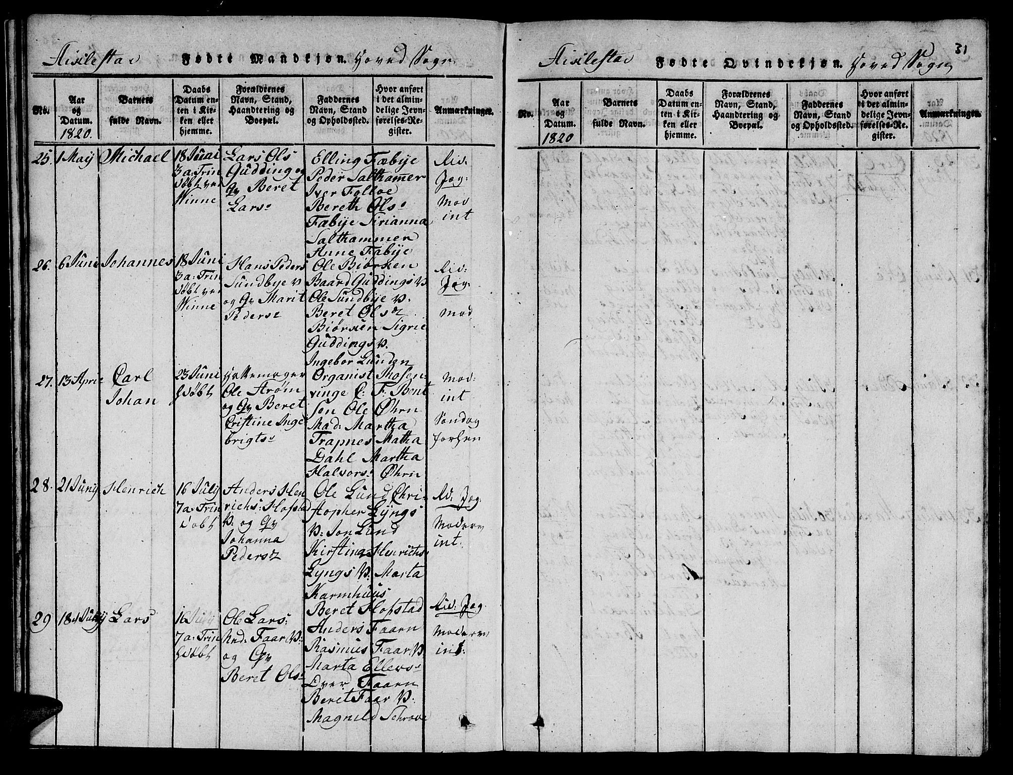 Ministerialprotokoller, klokkerbøker og fødselsregistre - Nord-Trøndelag, AV/SAT-A-1458/723/L0251: Parish register (copy) no. 723C01 /1, 1816-1831, p. 31