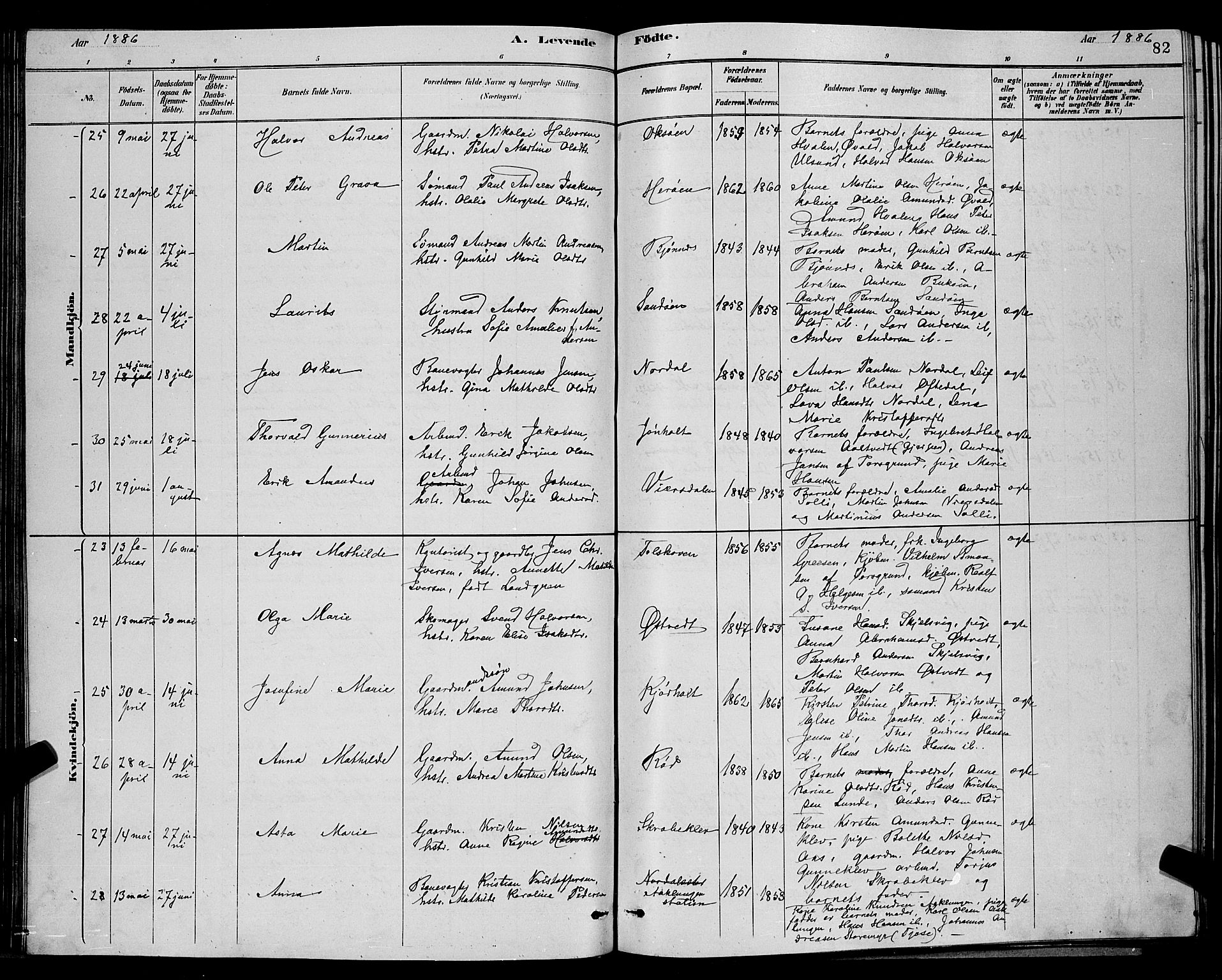 Eidanger kirkebøker, AV/SAKO-A-261/G/Ga/L0002: Parish register (copy) no. 2, 1879-1892, p. 82