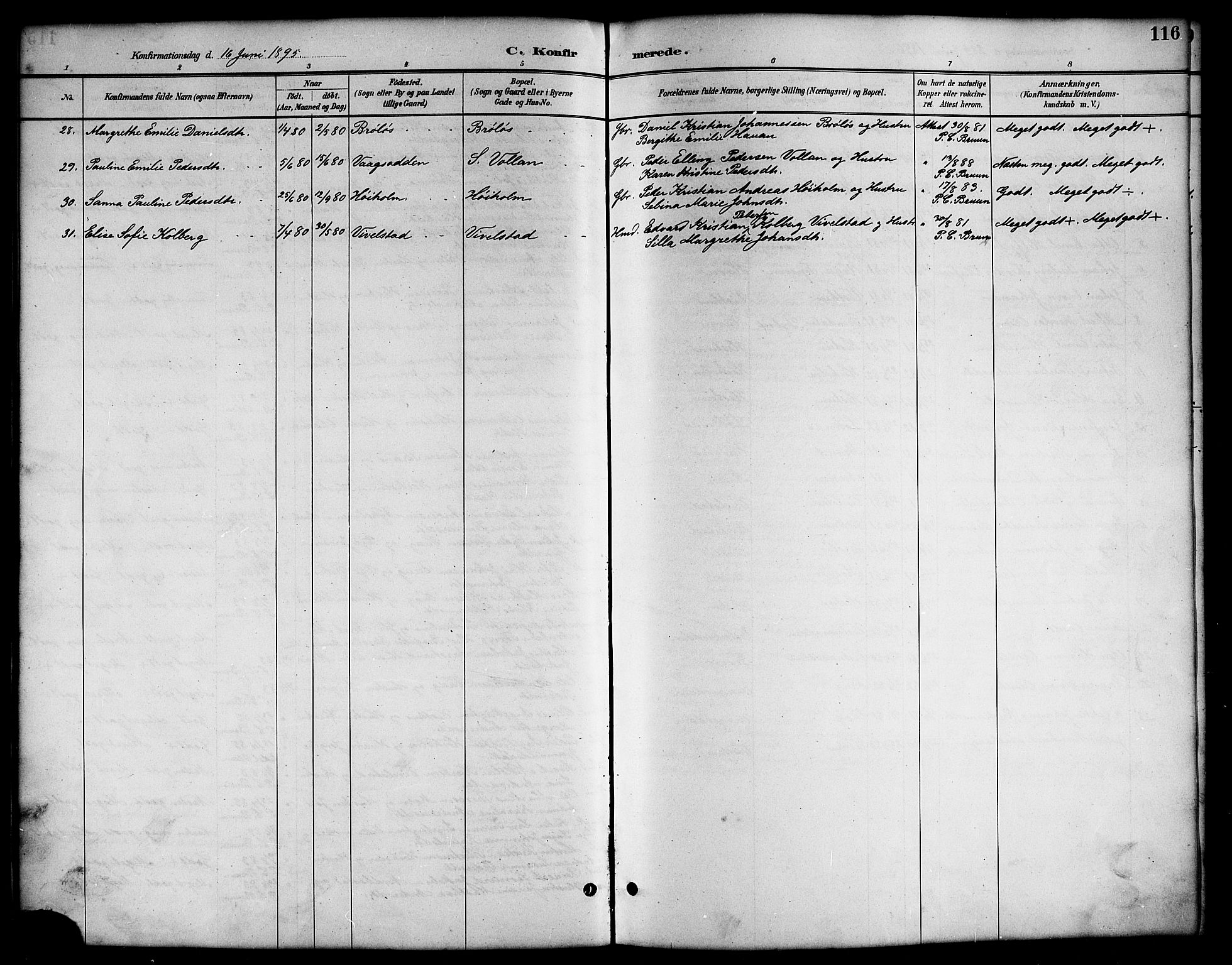 Ministerialprotokoller, klokkerbøker og fødselsregistre - Nordland, AV/SAT-A-1459/819/L0277: Parish register (copy) no. 819C03, 1888-1917, p. 116