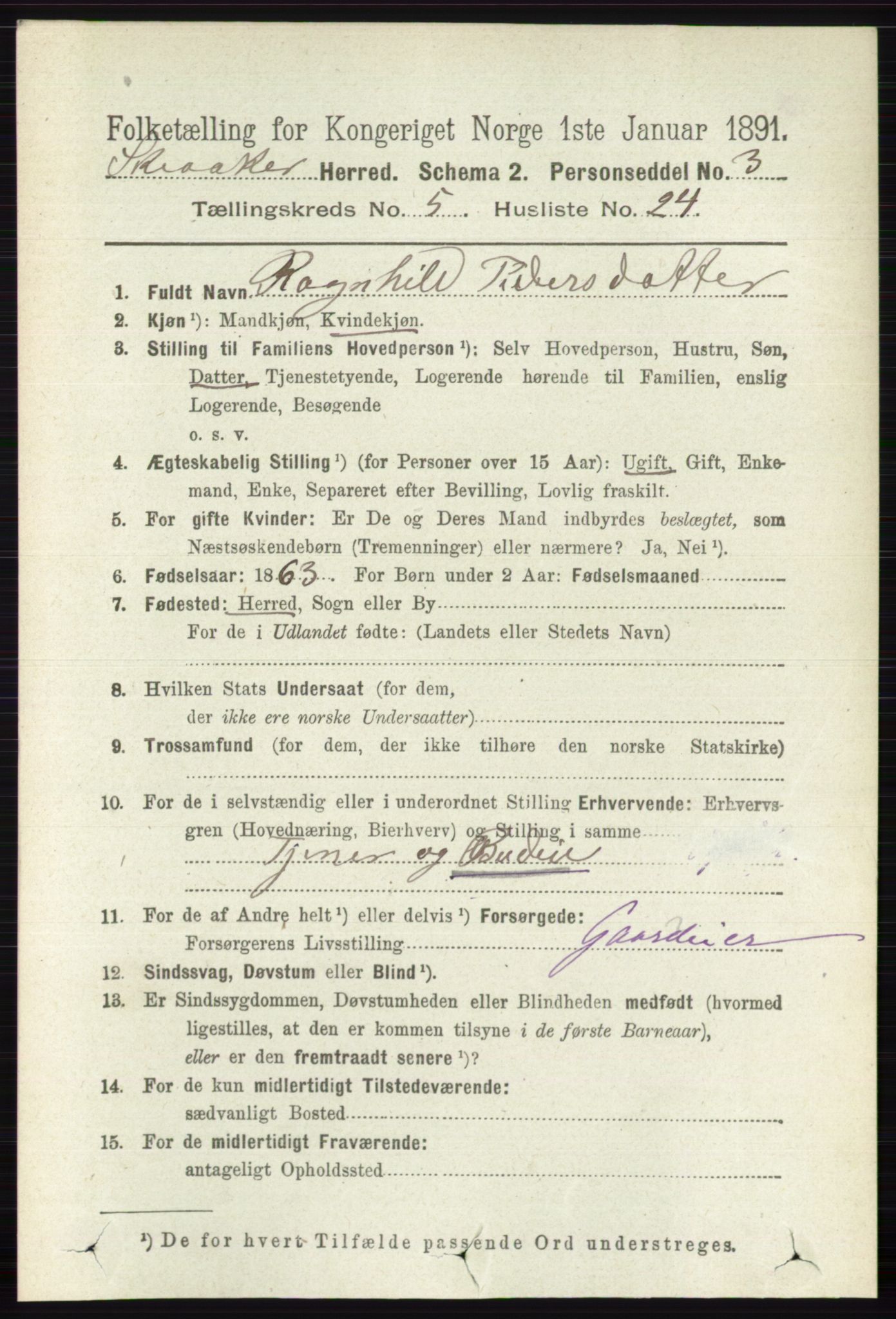 RA, 1891 census for 0513 Skjåk, 1891, p. 1732