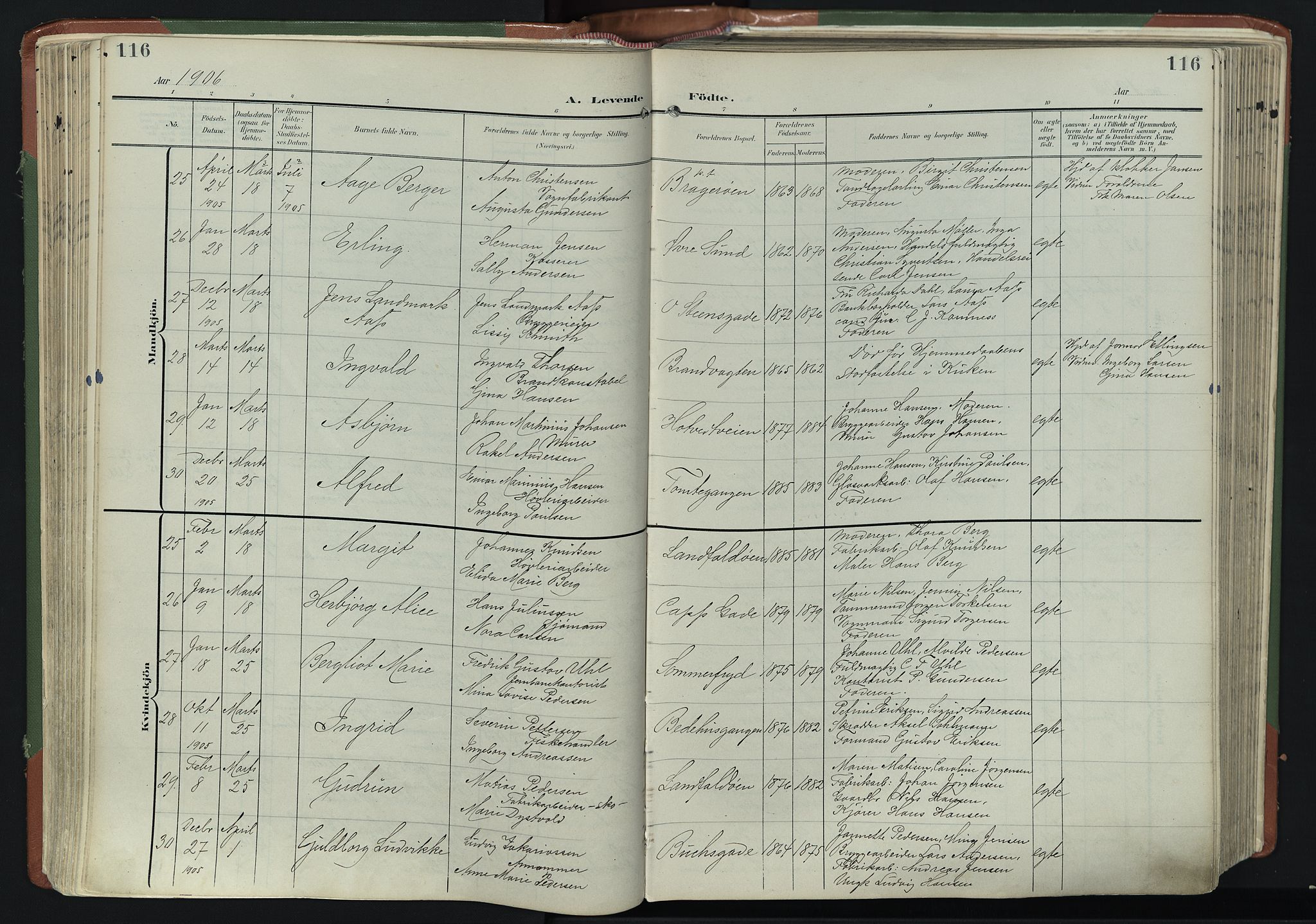 Bragernes kirkebøker, AV/SAKO-A-6/F/Fb/L0009: Parish register (official) no. II 9, 1902-1911, p. 116