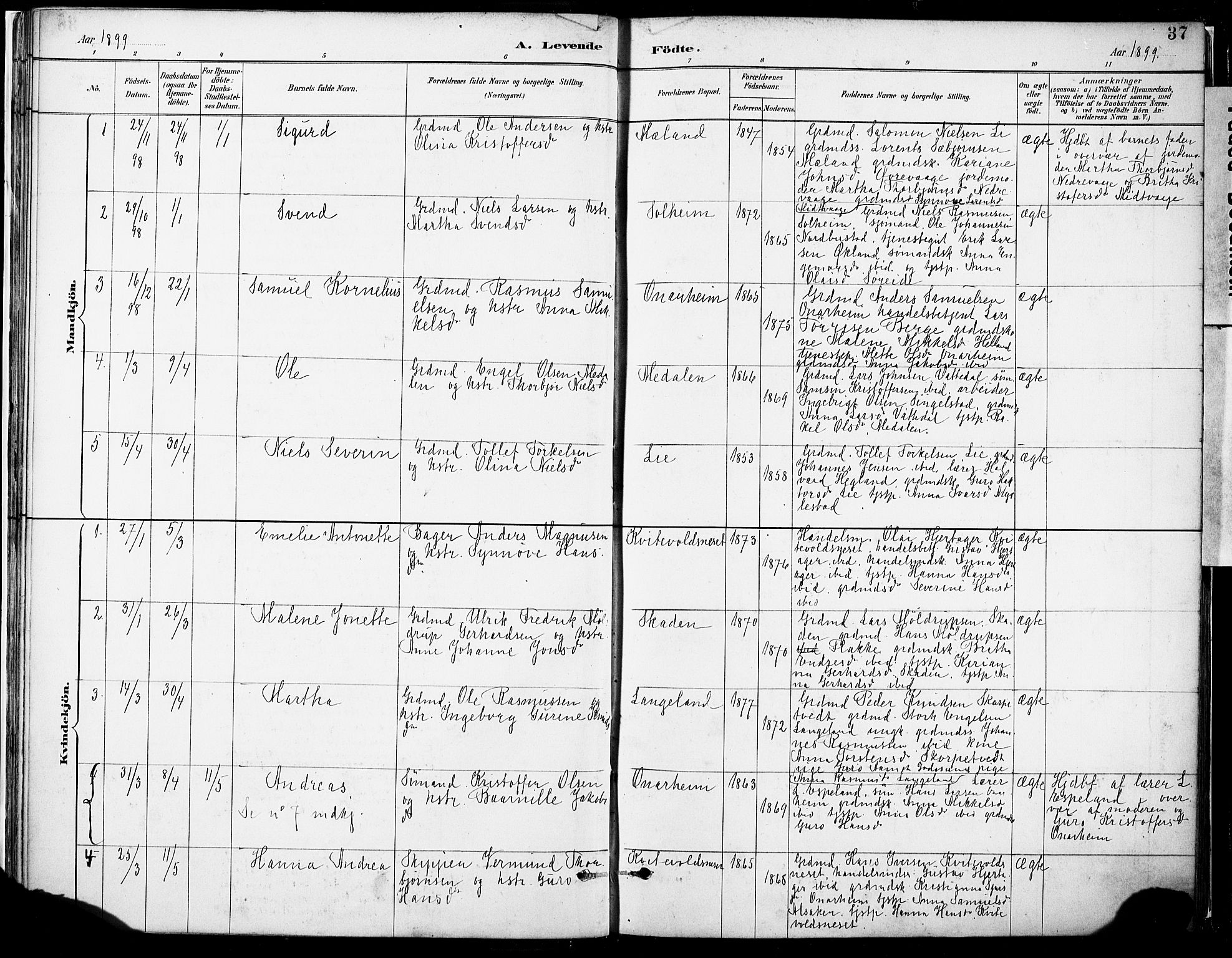 Tysnes sokneprestembete, SAB/A-78601/H/Haa: Parish register (official) no. C 1, 1887-1912, p. 37
