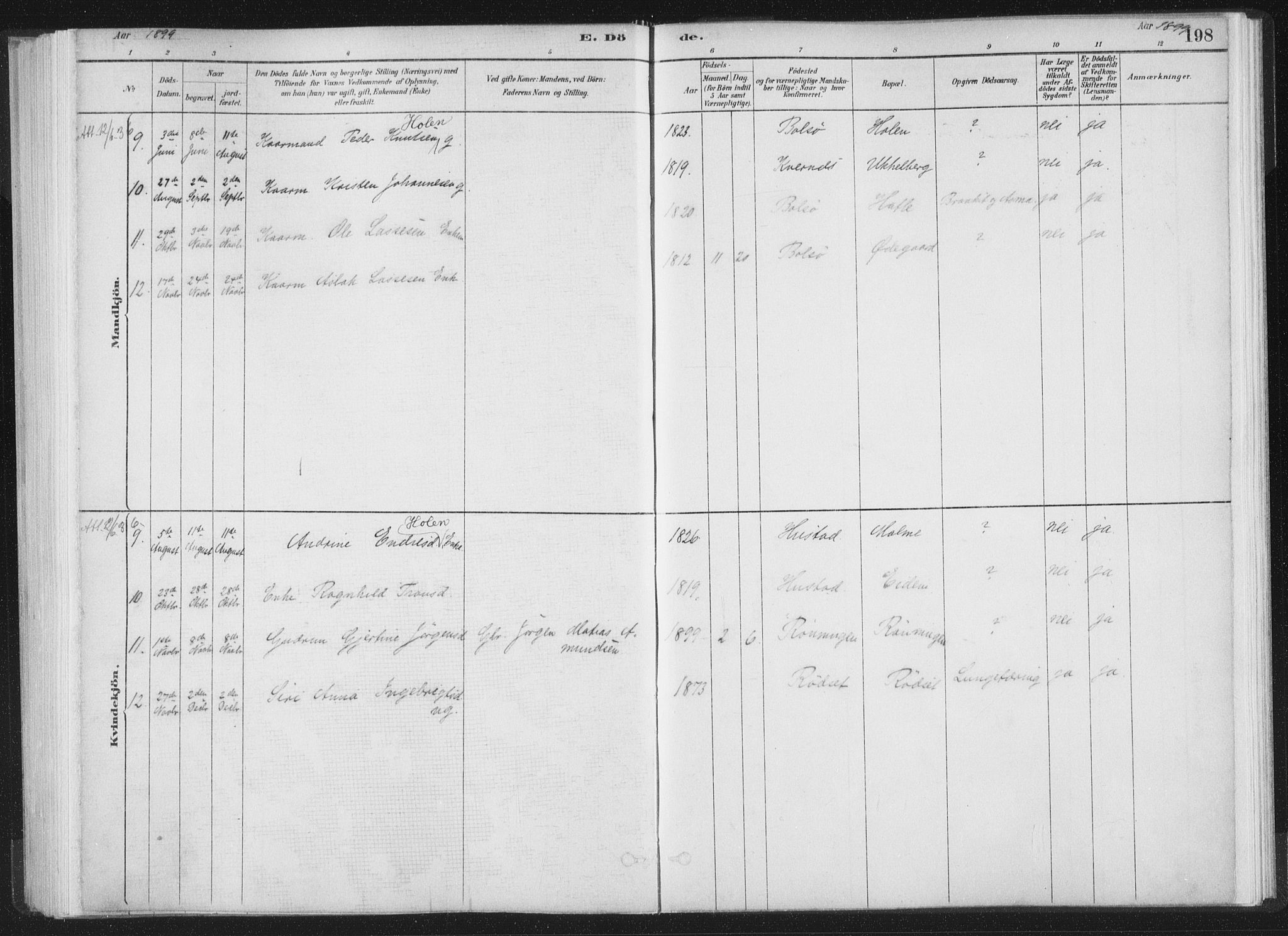 Ministerialprotokoller, klokkerbøker og fødselsregistre - Møre og Romsdal, AV/SAT-A-1454/564/L0740: Parish register (official) no. 564A01, 1880-1899, p. 198