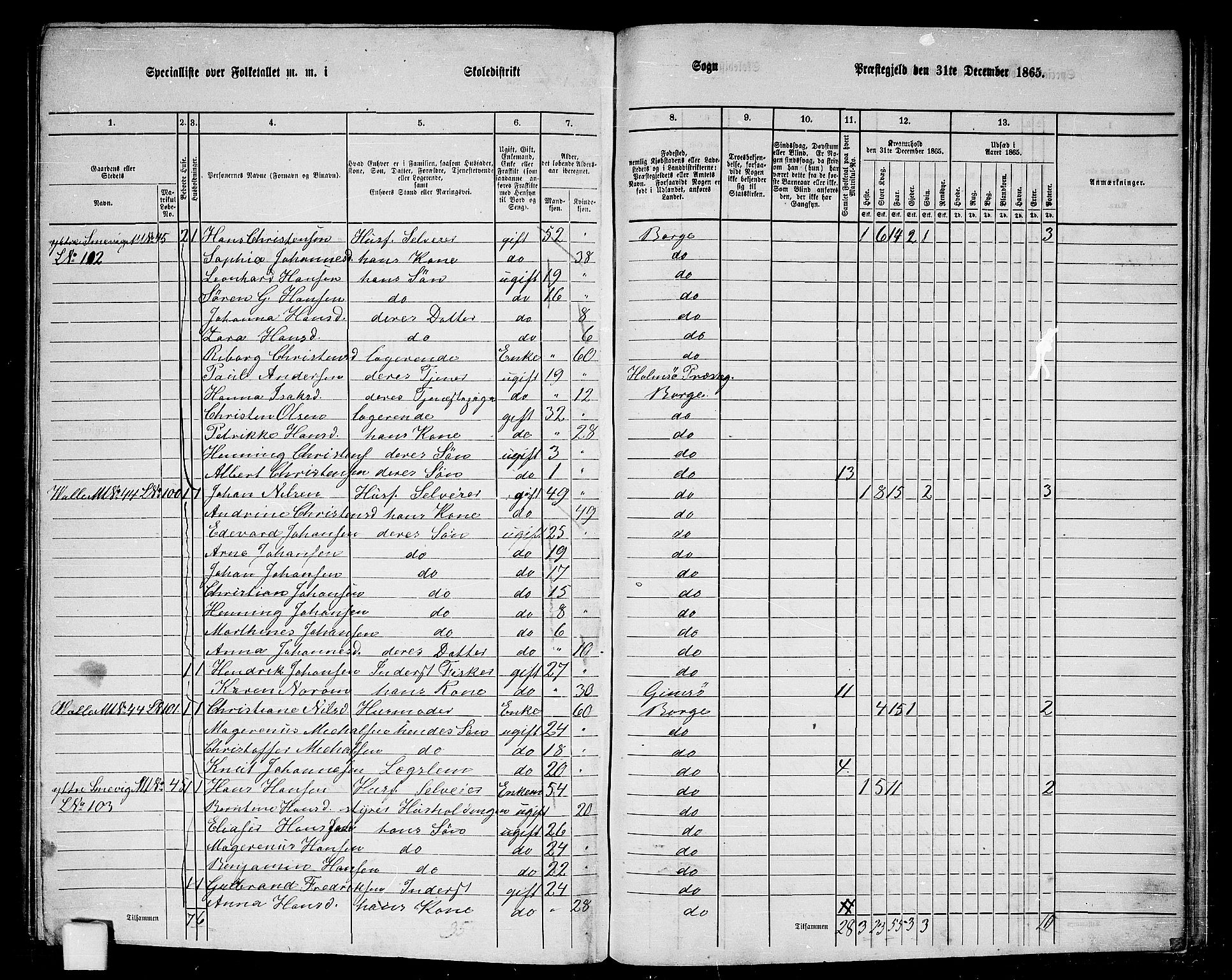 RA, 1865 census for Borge, 1865, p. 71