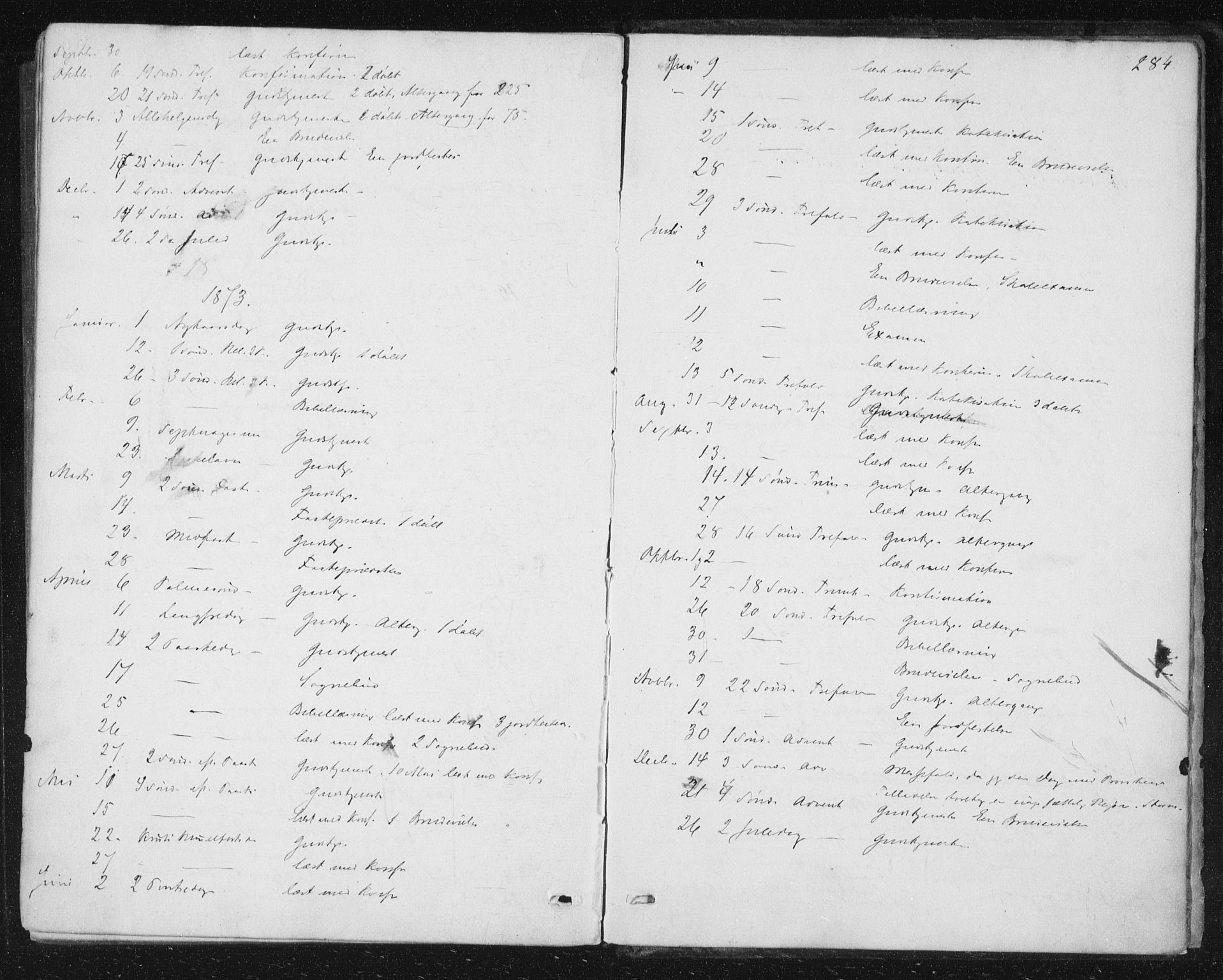 Ministerialprotokoller, klokkerbøker og fødselsregistre - Møre og Romsdal, AV/SAT-A-1454/543/L0562: Parish register (official) no. 543A02, 1854-1884, p. 284