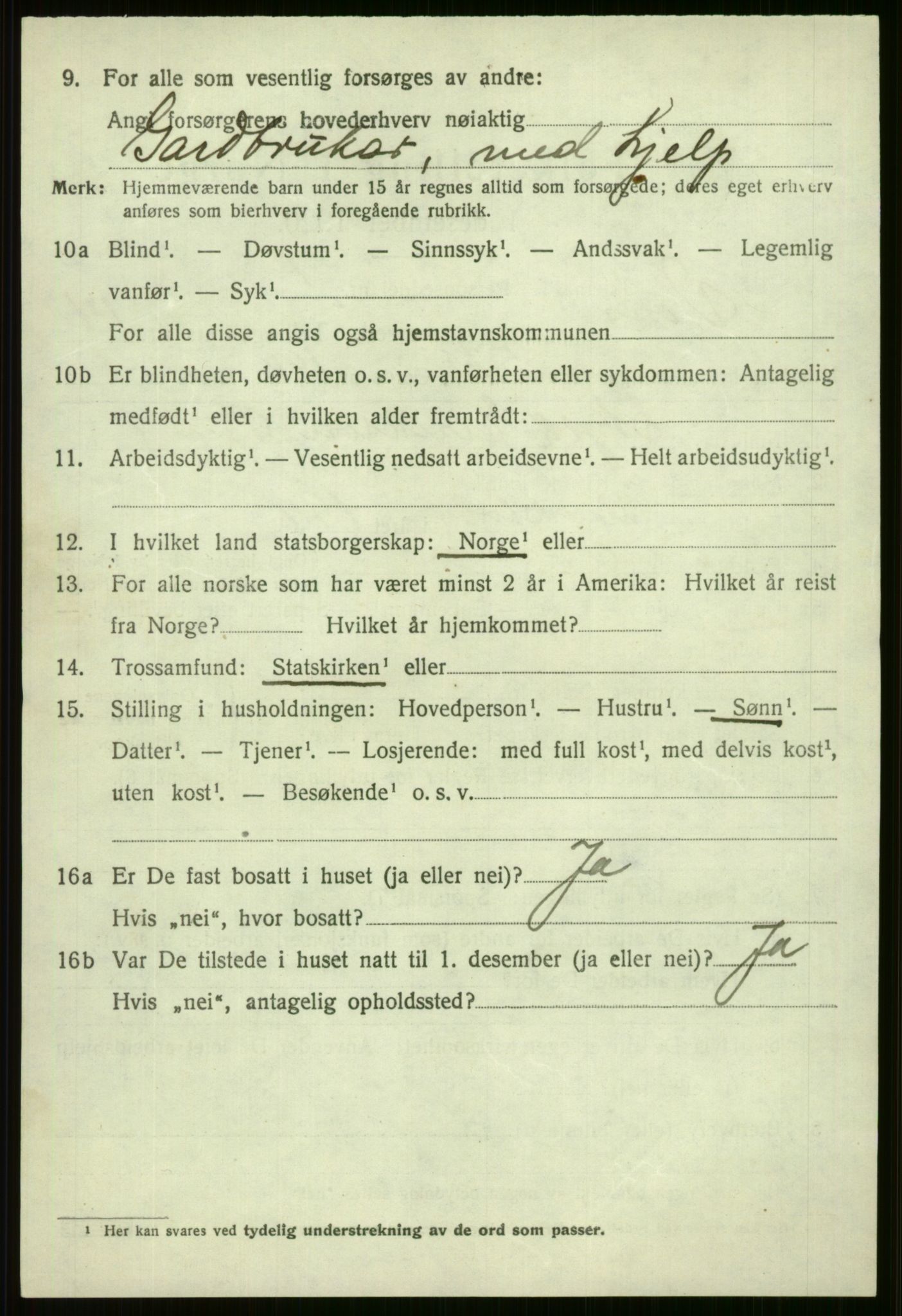 SAB, 1920 census for Voss, 1920, p. 12490