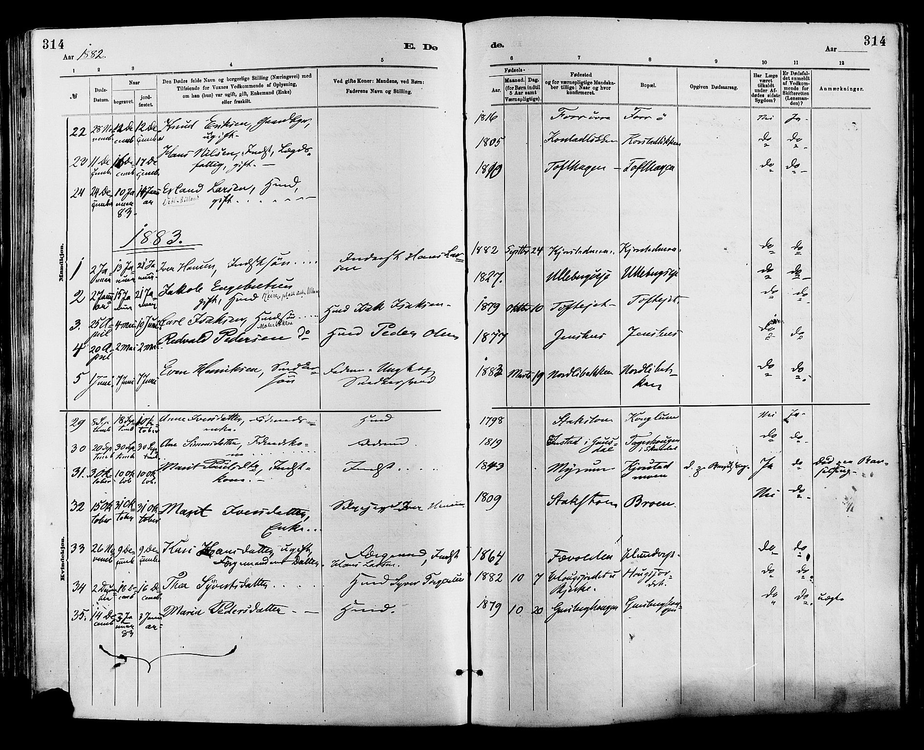 Sør-Fron prestekontor, SAH/PREST-010/H/Ha/Haa/L0003: Parish register (official) no. 3, 1881-1897, p. 314