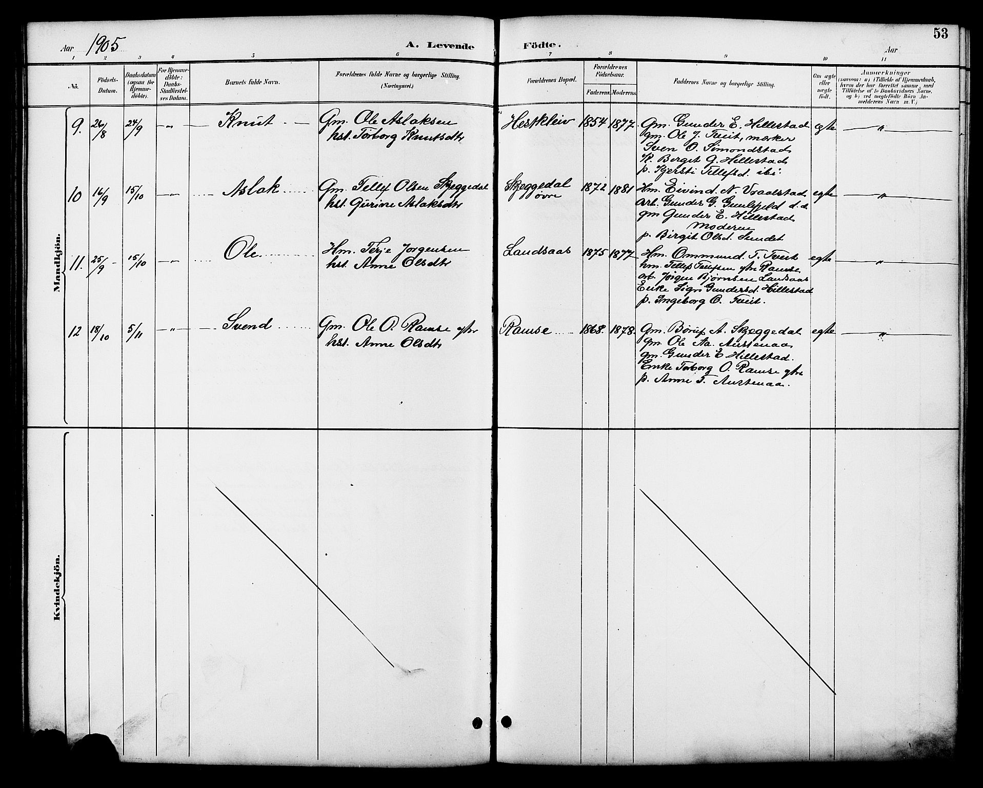 Åmli sokneprestkontor, AV/SAK-1111-0050/F/Fb/Fbb/L0002: Parish register (copy) no. B 2, 1890-1905, p. 53