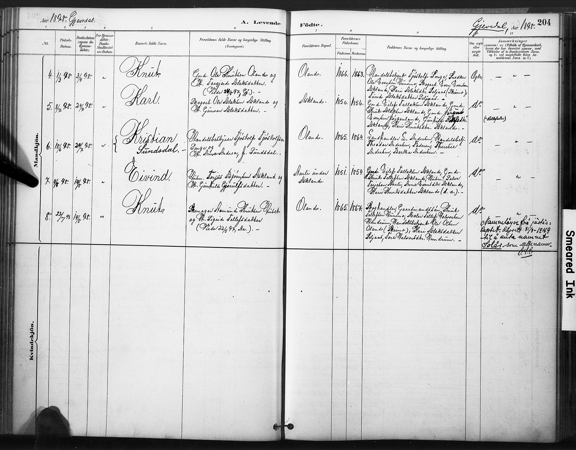 Åmli sokneprestkontor, SAK/1111-0050/F/Fa/Fac/L0010: Parish register (official) no. A 10 /2, 1885-1899, p. 204