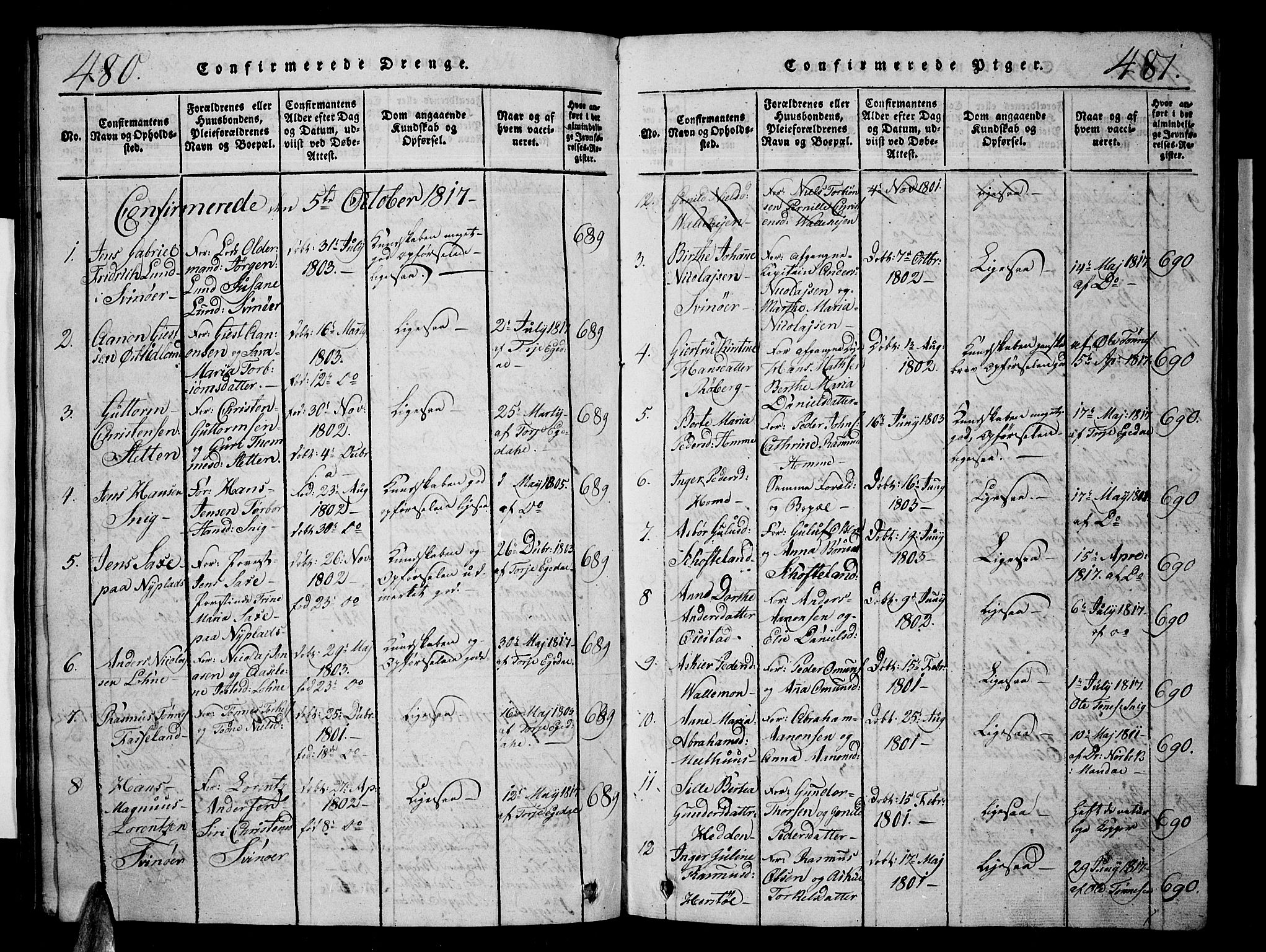 Sør-Audnedal sokneprestkontor, AV/SAK-1111-0039/F/Fb/Fbb/L0001: Parish register (copy) no. B 1, 1815-1827, p. 480-481