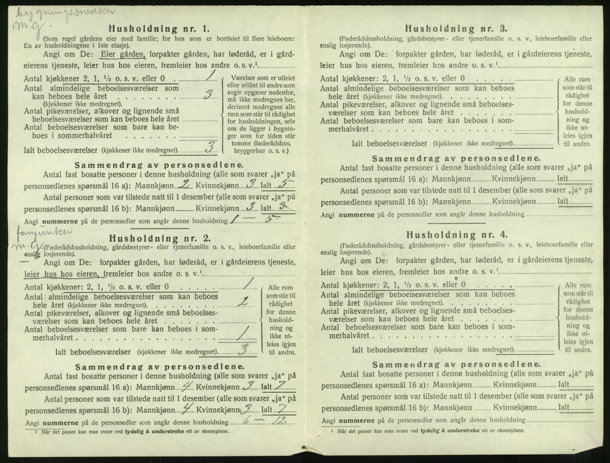 SAT, 1920 census for Bolsøy, 1920, p. 228