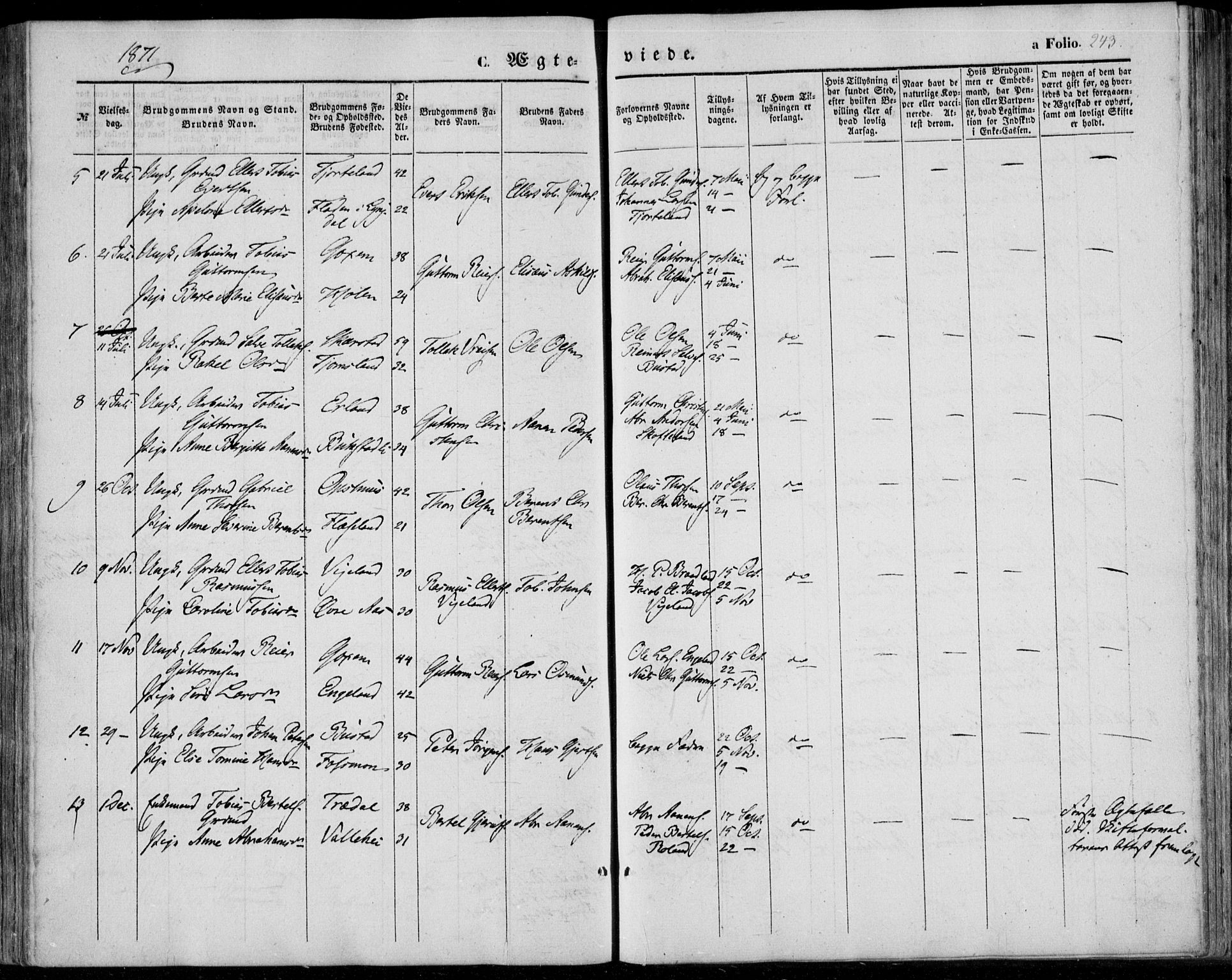 Sør-Audnedal sokneprestkontor, AV/SAK-1111-0039/F/Fa/Fab/L0007: Parish register (official) no. A 7, 1855-1876, p. 243