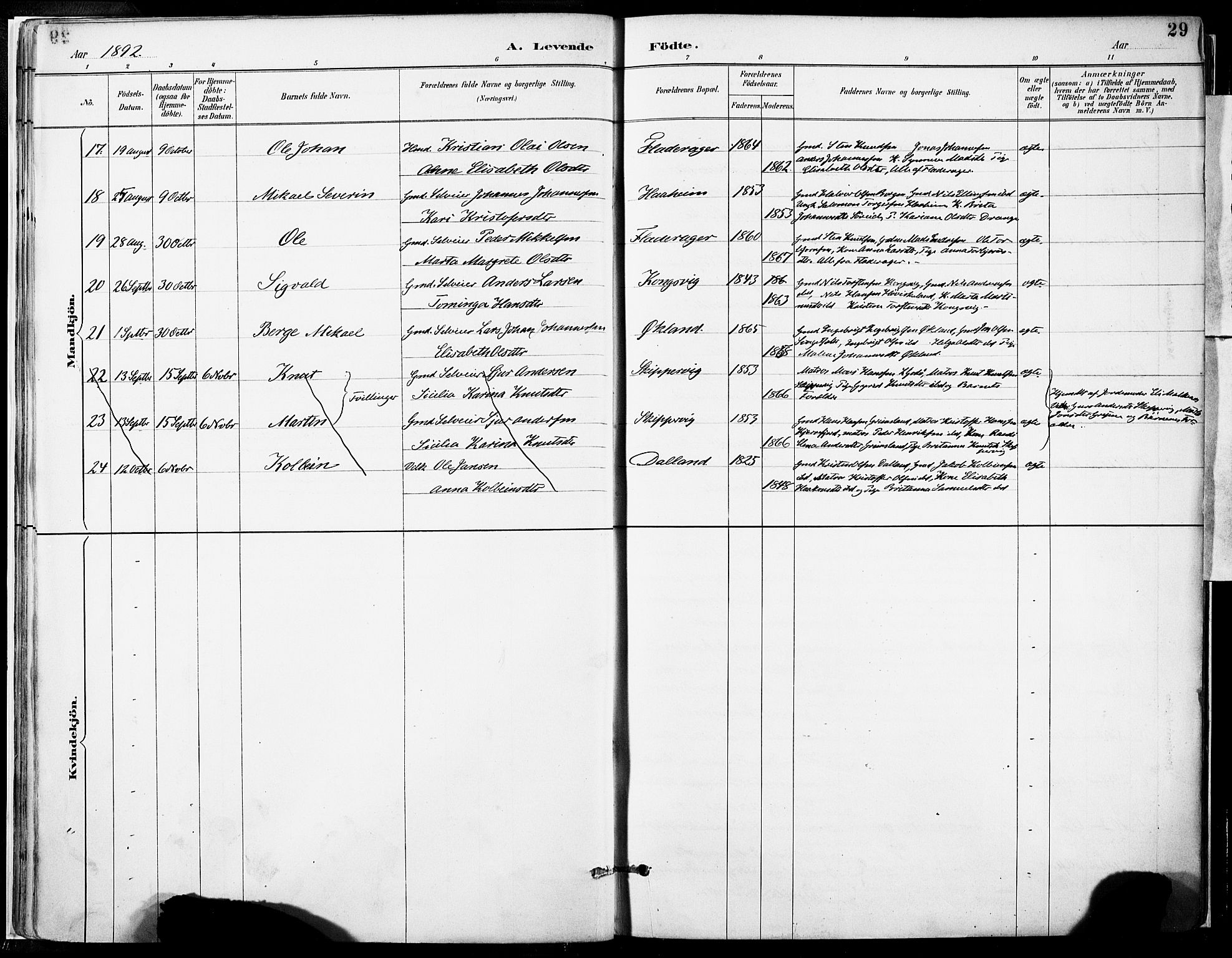 Tysnes sokneprestembete, SAB/A-78601/H/Haa: Parish register (official) no. D 1, 1887-1904, p. 29