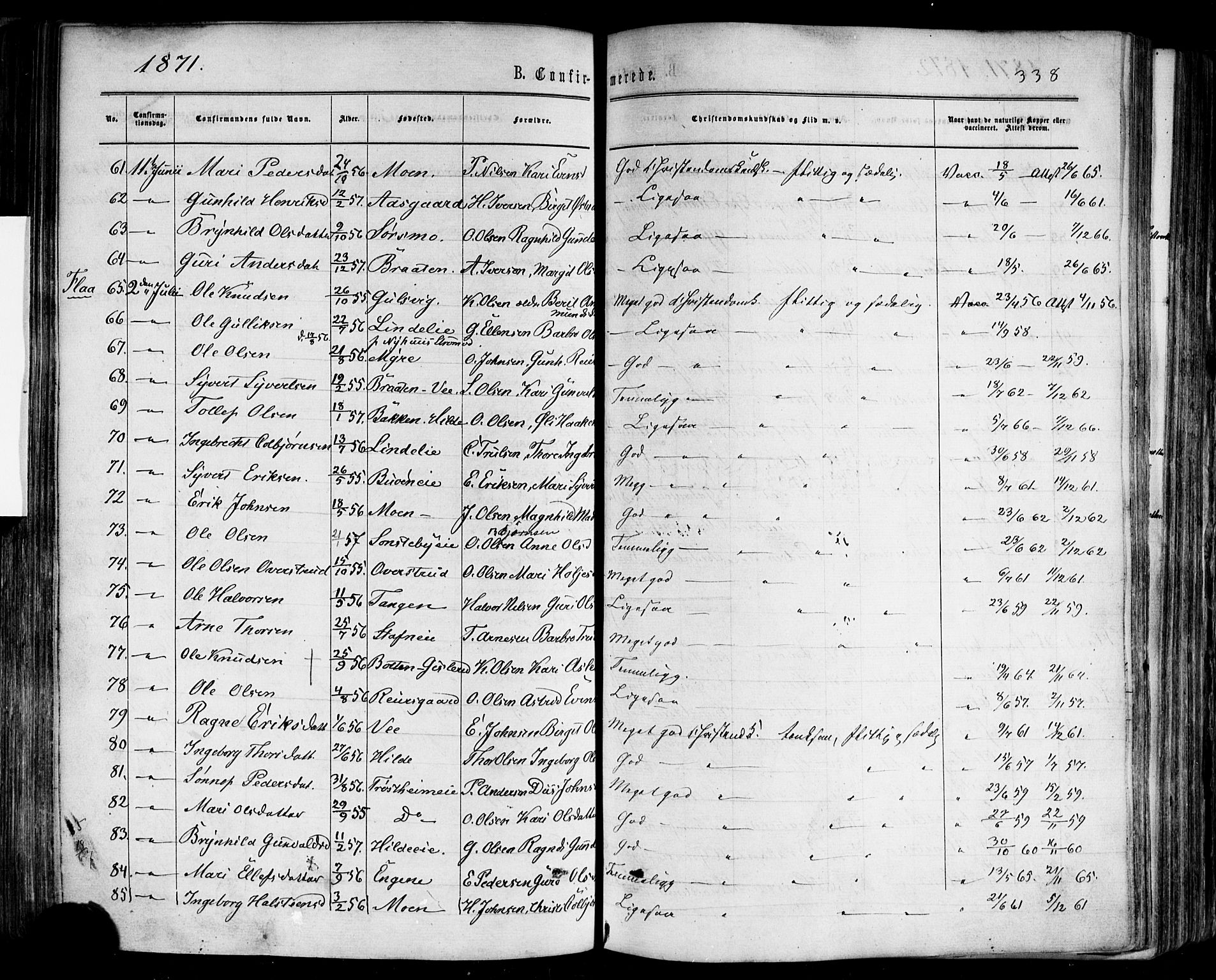 Nes kirkebøker, AV/SAKO-A-236/F/Fa/L0010: Parish register (official) no. 10, 1864-1880, p. 338