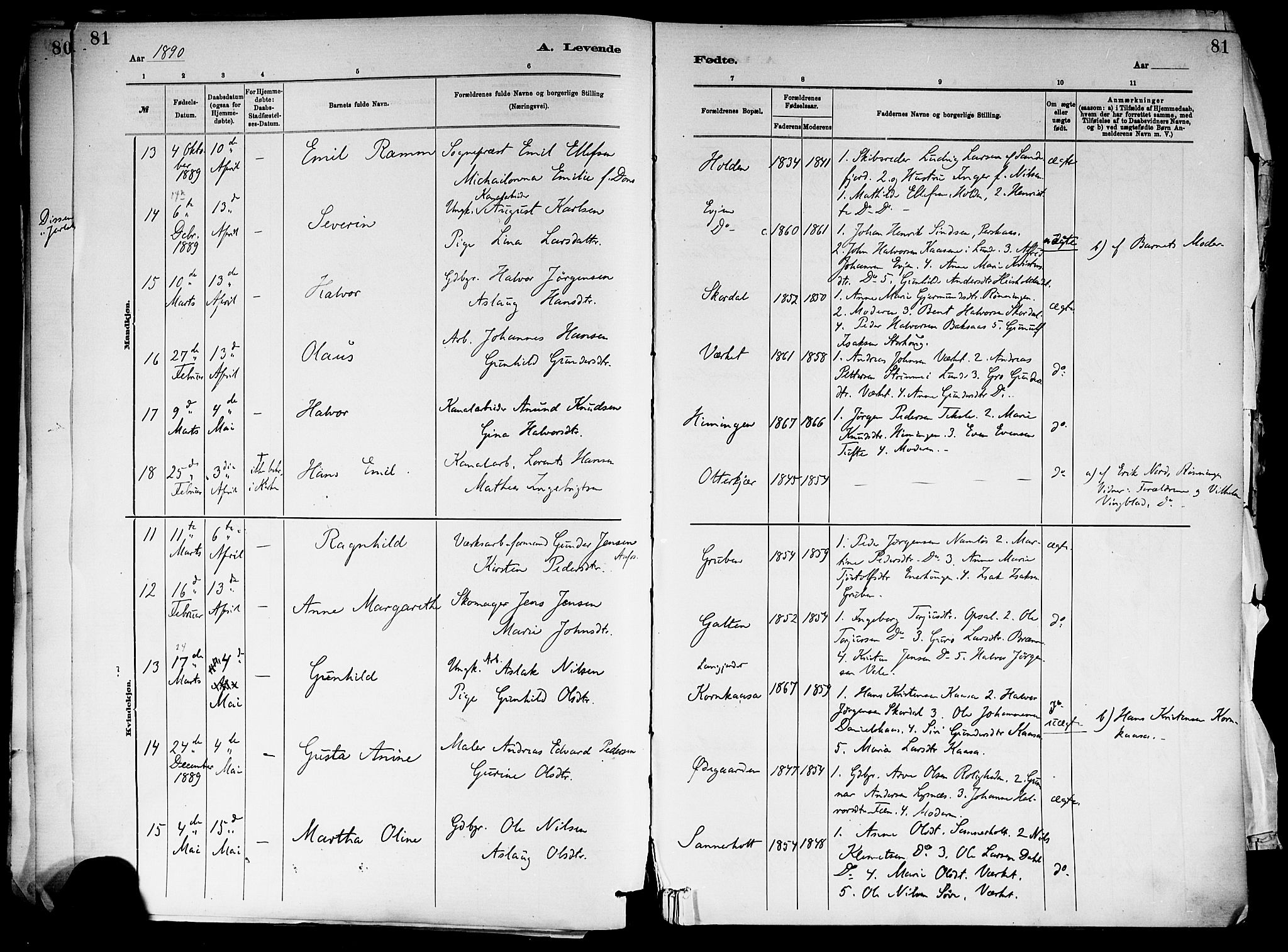 Holla kirkebøker, SAKO/A-272/F/Fa/L0008: Parish register (official) no. 8, 1882-1897, p. 81
