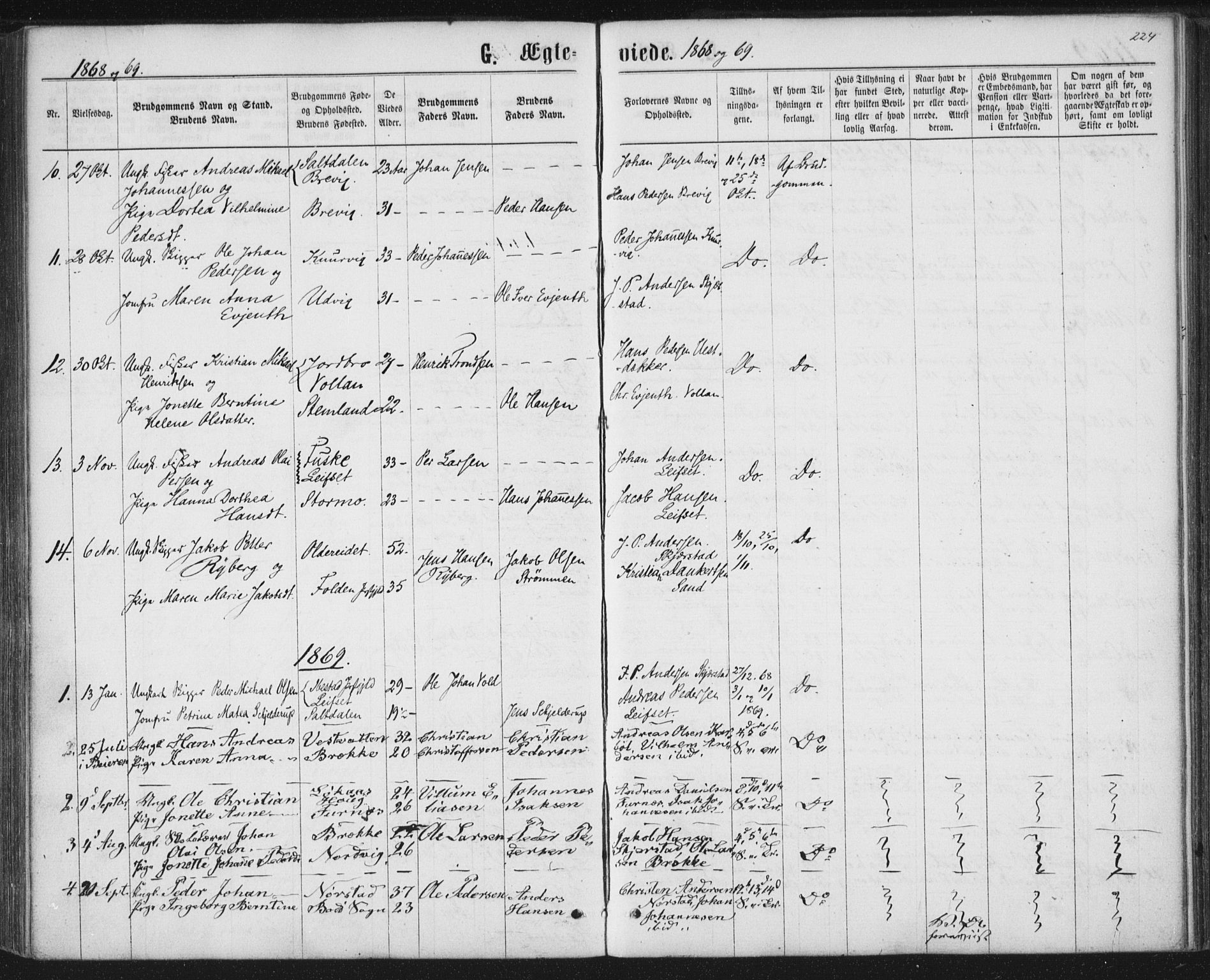 Ministerialprotokoller, klokkerbøker og fødselsregistre - Nordland, AV/SAT-A-1459/852/L0739: Parish register (official) no. 852A09, 1866-1877, p. 224