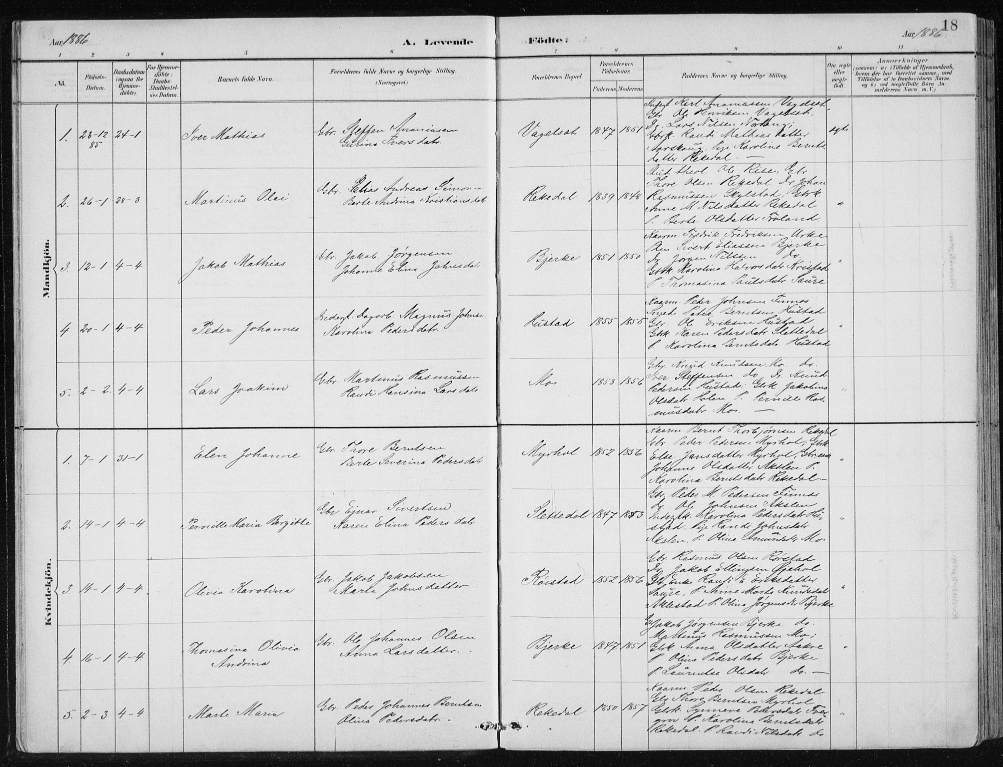 Ministerialprotokoller, klokkerbøker og fødselsregistre - Møre og Romsdal, AV/SAT-A-1454/515/L0215: Parish register (copy) no. 515C02, 1884-1906, p. 18