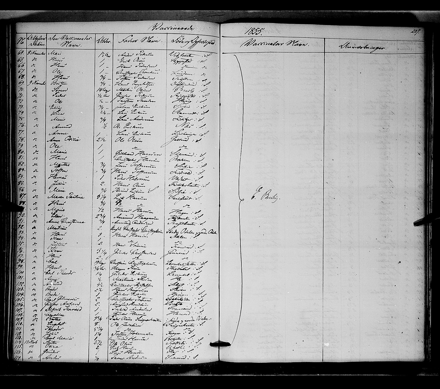 Nord-Odal prestekontor, AV/SAH-PREST-032/H/Ha/Haa/L0003: Parish register (official) no. 3, 1851-1865, p. 207