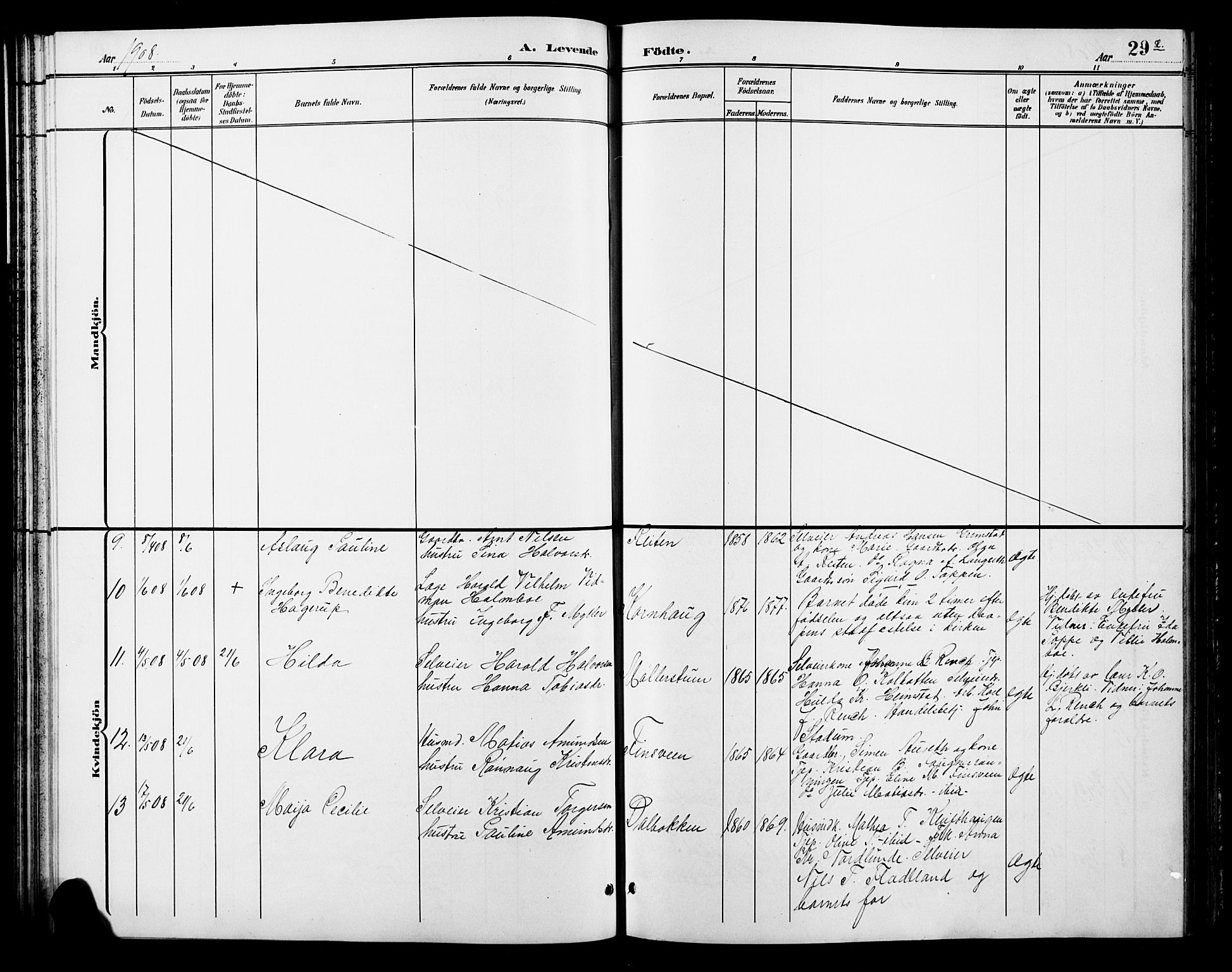 Østre Gausdal prestekontor, SAH/PREST-092/H/Ha/Hab/L0003: Parish register (copy) no. 3, 1894-1915, p. 29l