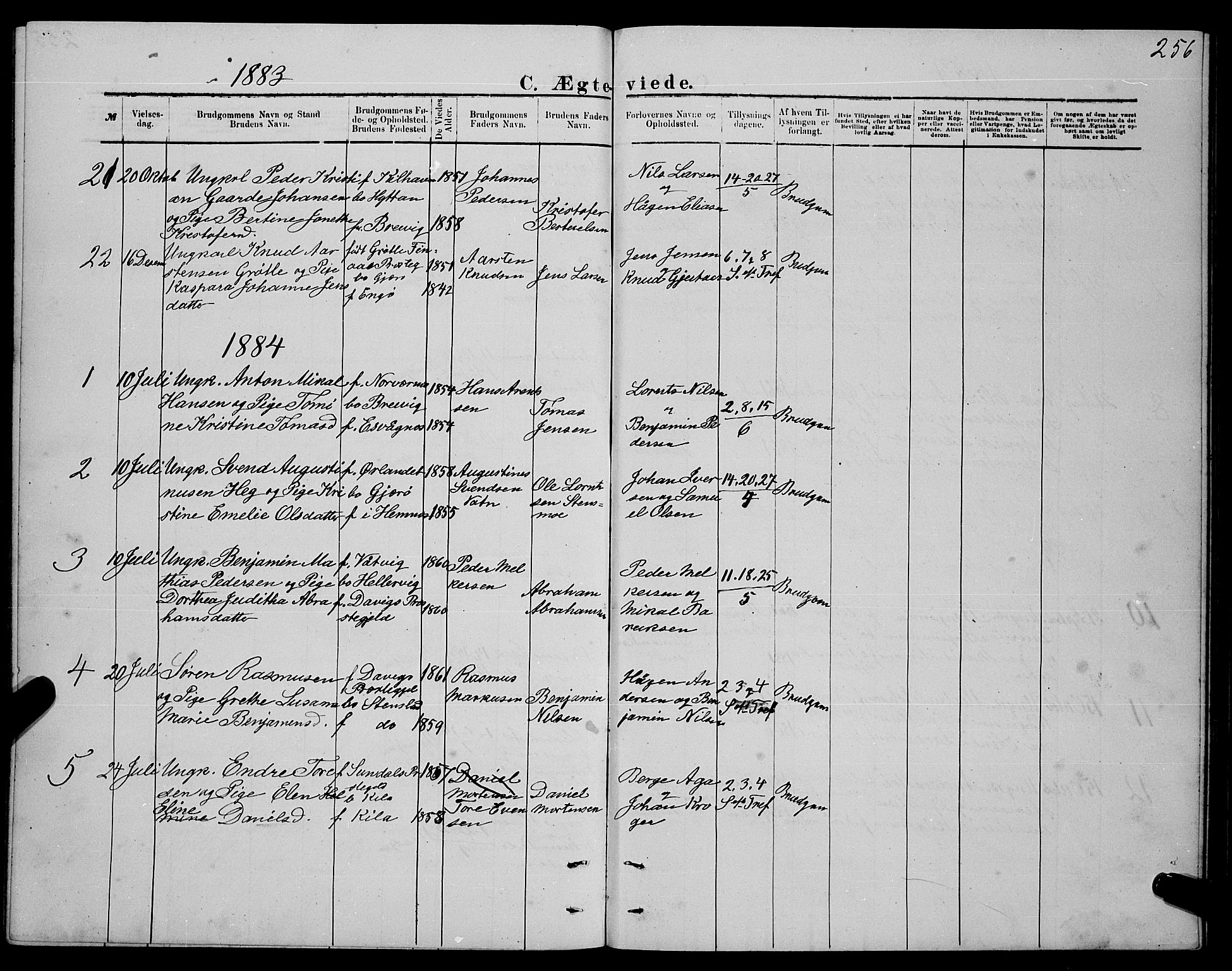 Ministerialprotokoller, klokkerbøker og fødselsregistre - Nordland, SAT/A-1459/841/L0620: Parish register (copy) no. 841C04, 1877-1896, p. 256