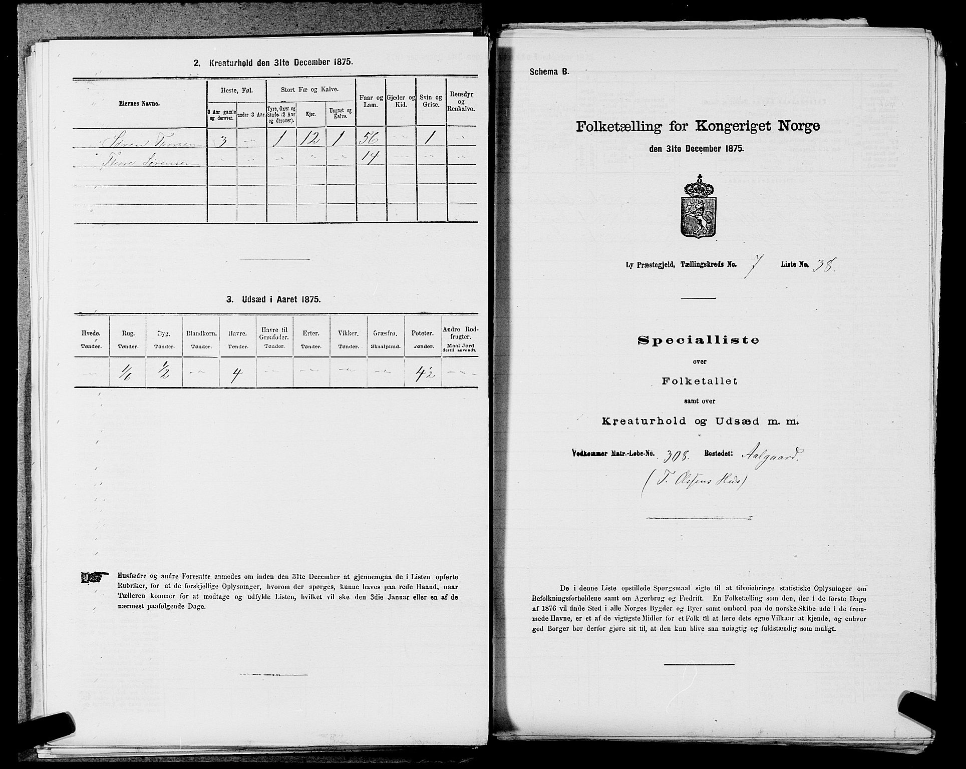 SAST, 1875 census for 1121P Lye, 1875, p. 884