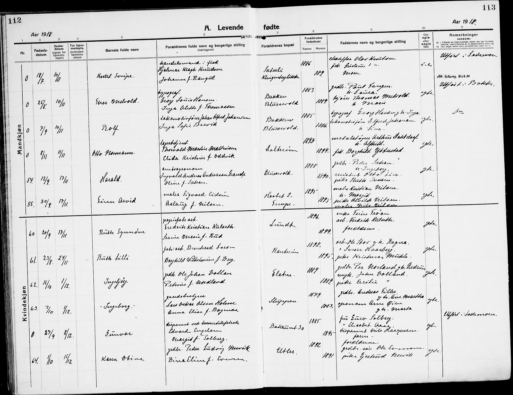 Ministerialprotokoller, klokkerbøker og fødselsregistre - Sør-Trøndelag, AV/SAT-A-1456/607/L0321: Parish register (official) no. 607A05, 1916-1935, p. 112-113