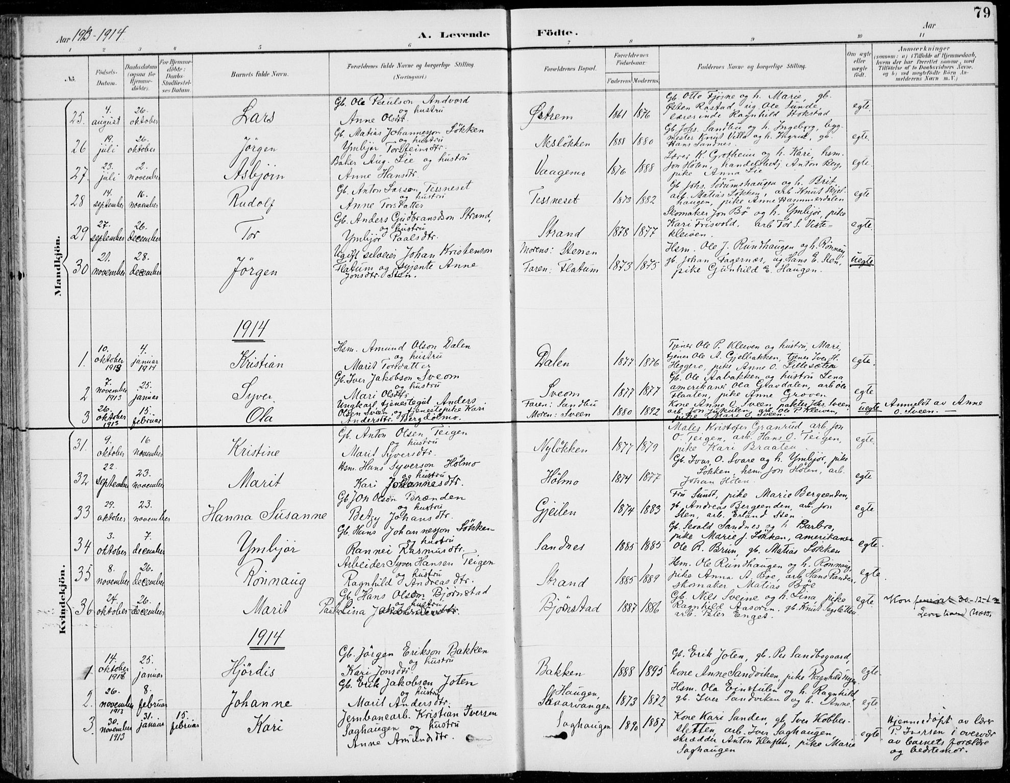 Vågå prestekontor, AV/SAH-PREST-076/H/Ha/Hab/L0002: Parish register (copy) no. 2, 1894-1939, p. 79