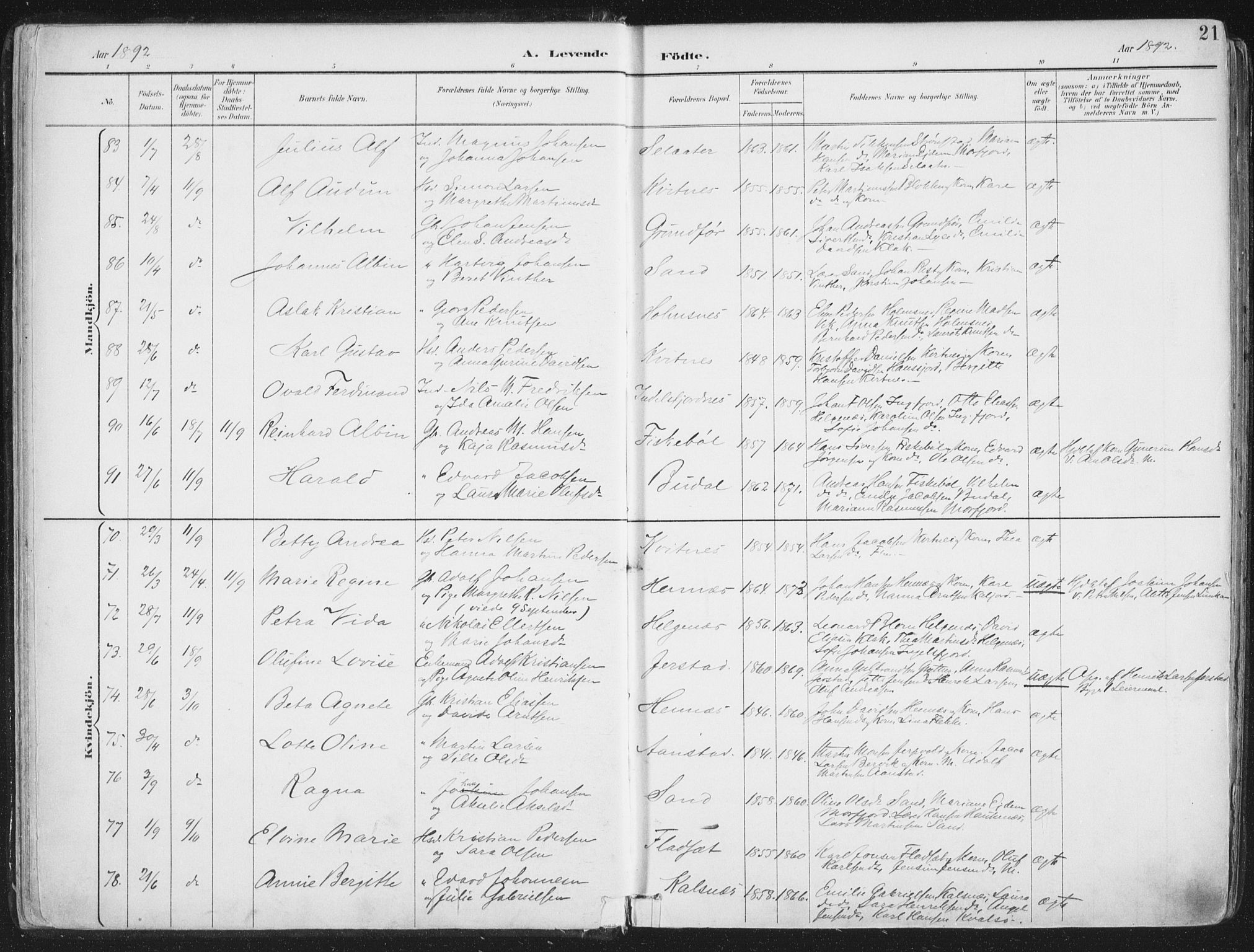 Ministerialprotokoller, klokkerbøker og fødselsregistre - Nordland, AV/SAT-A-1459/888/L1246: Parish register (official) no. 888A12, 1891-1903, p. 21