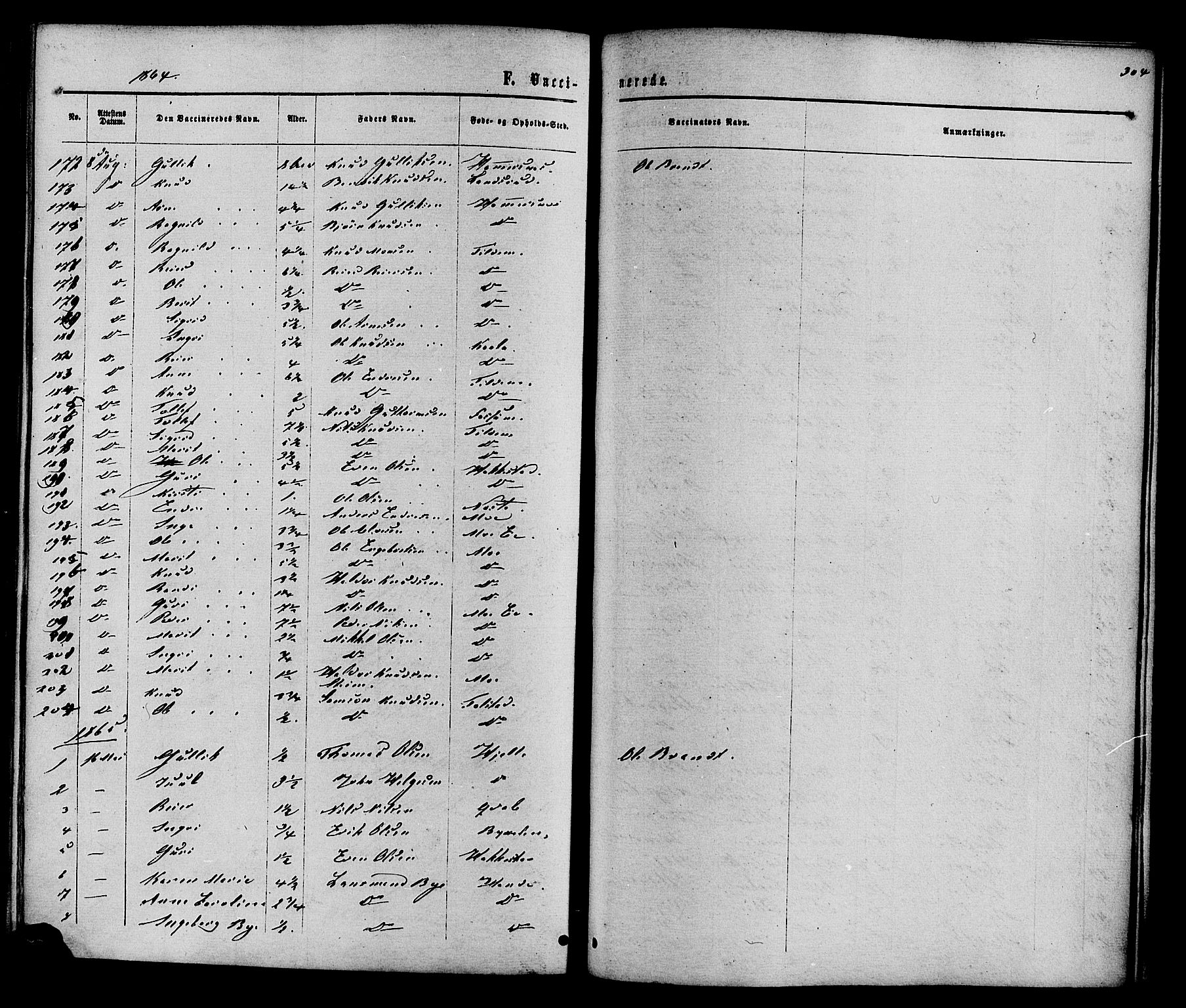 Vestre Slidre prestekontor, SAH/PREST-136/H/Ha/Haa/L0003: Parish register (official) no. 3, 1865-1880, p. 304