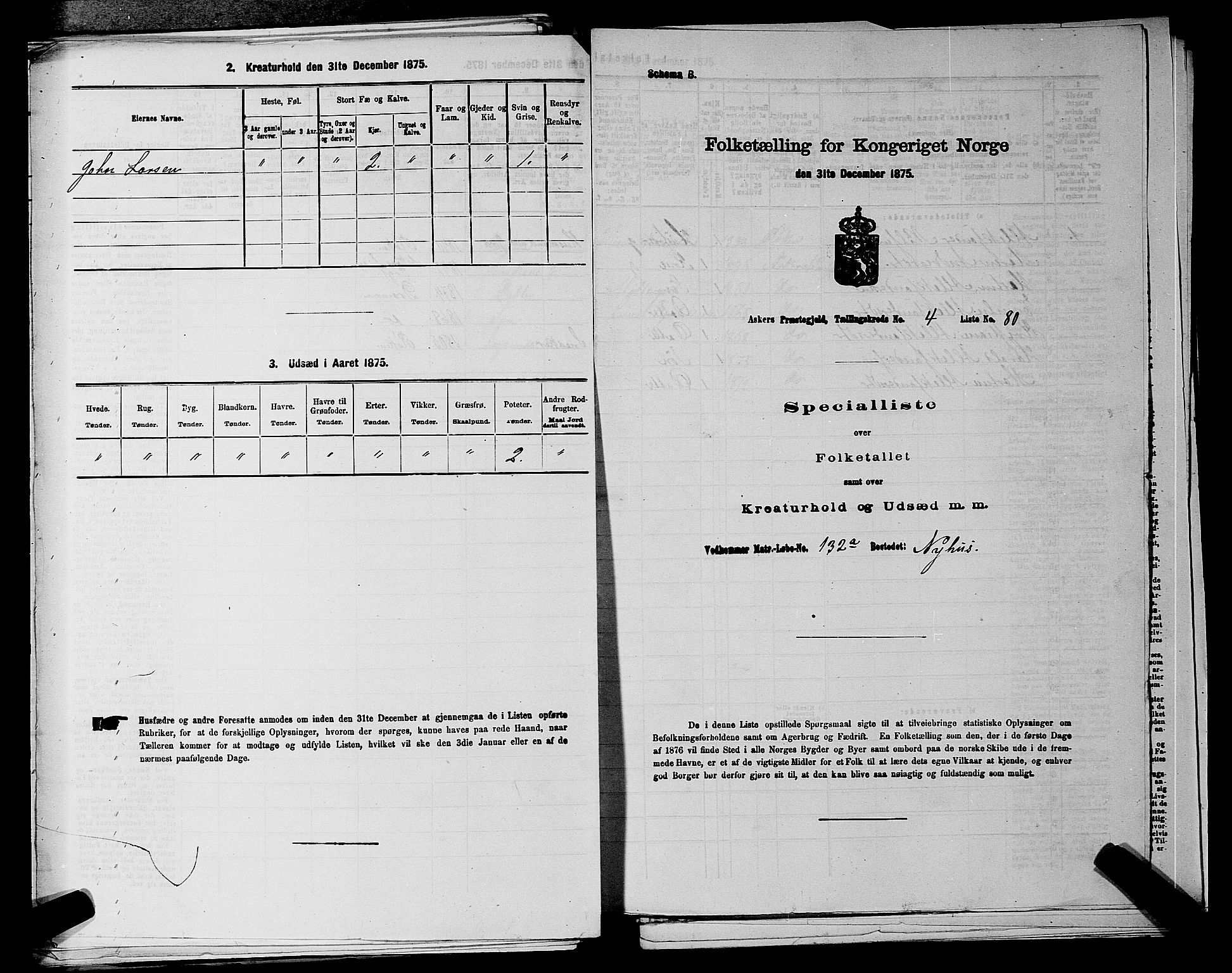 RA, 1875 census for 0220P Asker, 1875, p. 1024